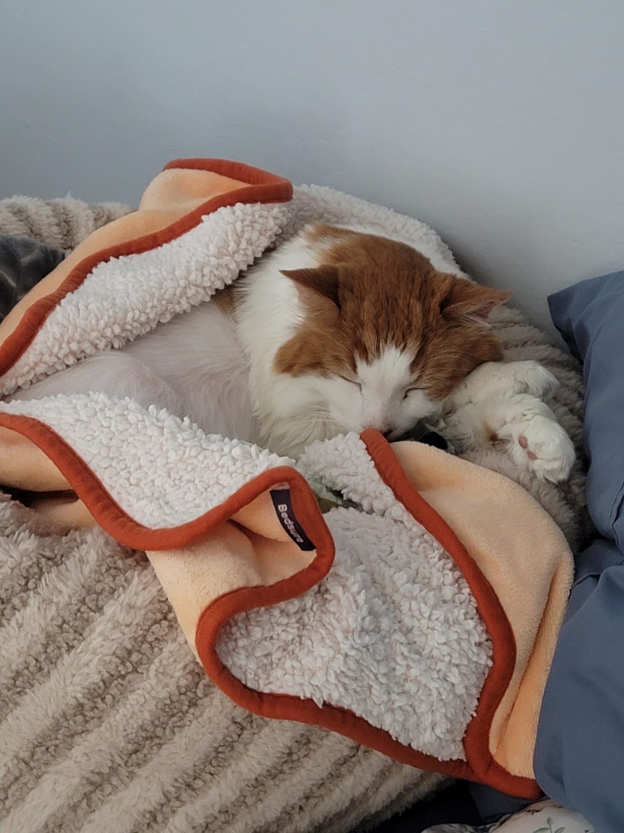 GASUR Heated Dog Bed, 28''x20'' Waterproof Cat Heating Pad with Timer Temperature Adjustable, Indoor Heated Electric Pet Bed for Cats Dogs, Auto Power-Off, Anti-bite Pet Heated Pad, Medium customer photo 1