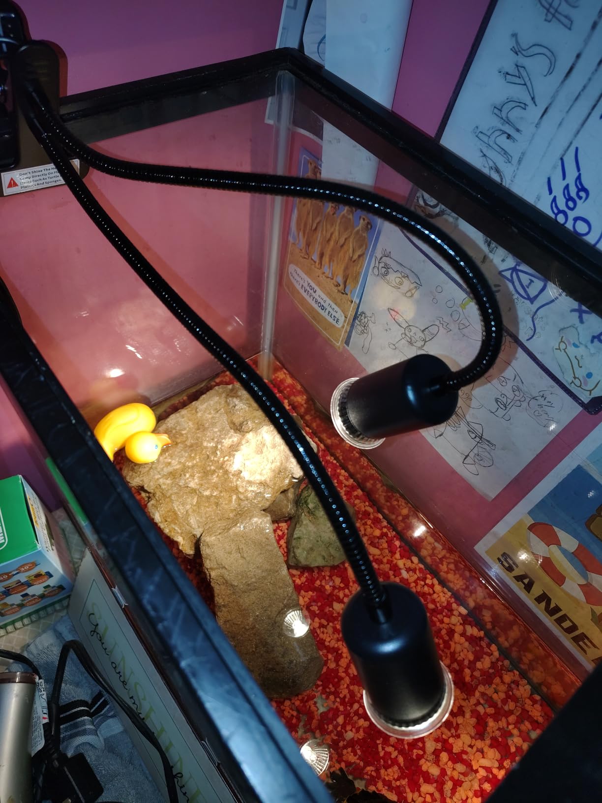 TFNN Reptile Heat Lamp, Double-Head Heat Lamp with Clamp, UVA UVB Reptile Light with Intelligent Cycle Timer for Turtle, Bearded Dragon, Lizard and More, 2 Bulbs 25W+50W customer photo 2