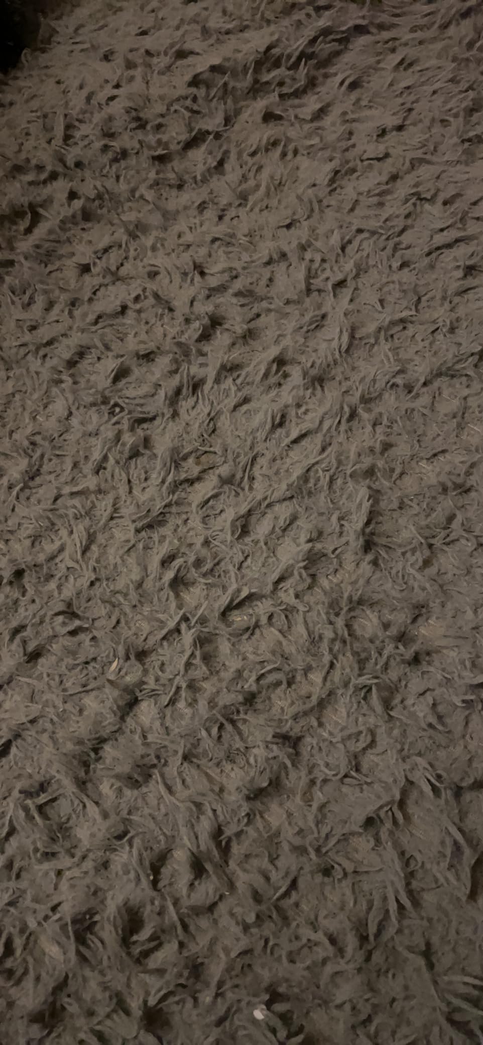 Andecor Soft Fluffy Bedroom Rugs, 8 x 10 Feet Indoor Shaggy Plush Area Rug for Boys Girls Kids Baby College Dorm Living Room Home Decor Floor Carpet, Cream White customer photo 1