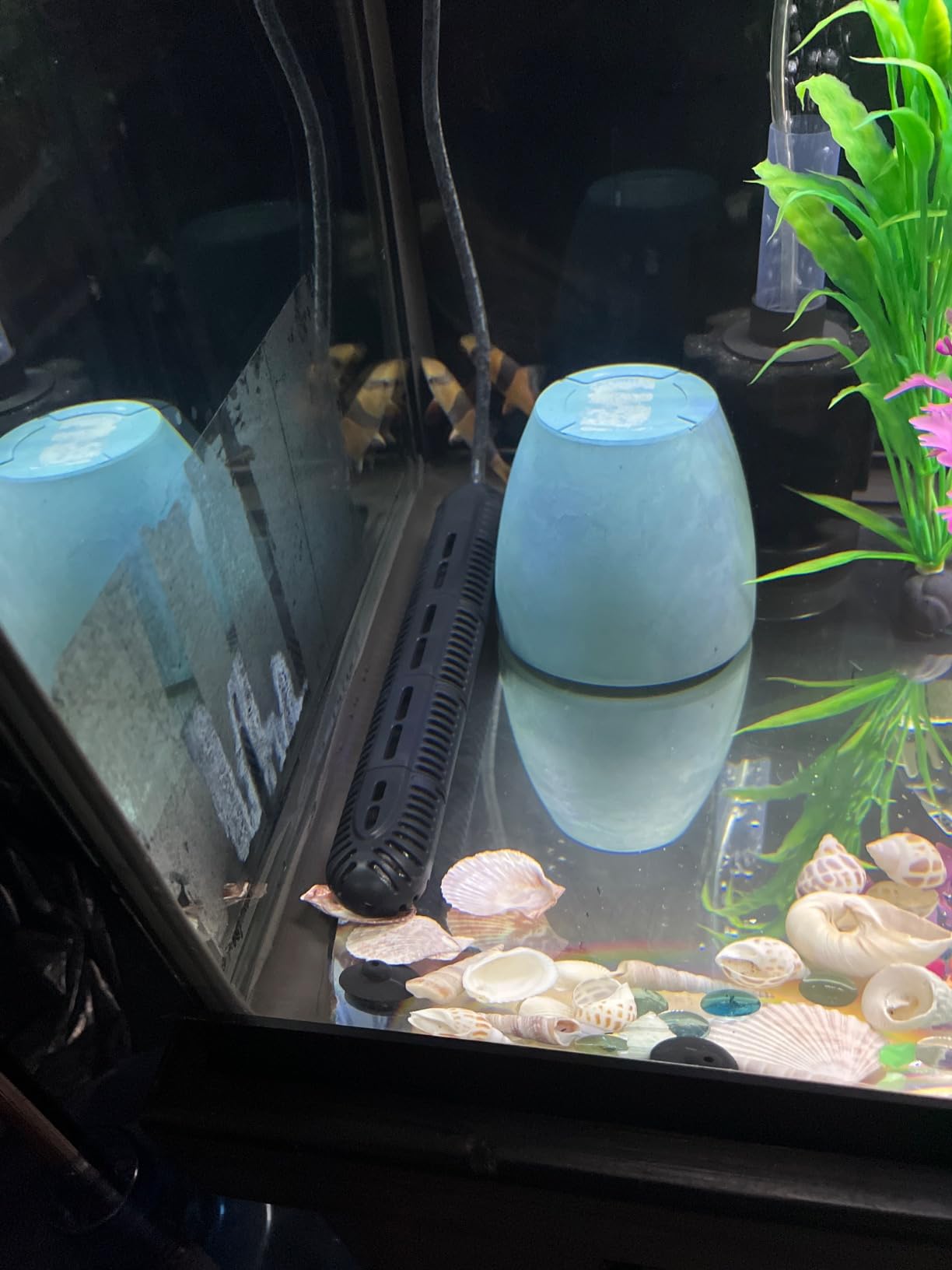 HiTauing Aquarium Heater, 300W Fish Tank Heater with LED Digital Display & 5 Safety Protection, Submersible Aquarium Heater with 2 Suction Cup and 8.2Ft Cord for 40-75 Gallon Fish Tank. customer photo 1