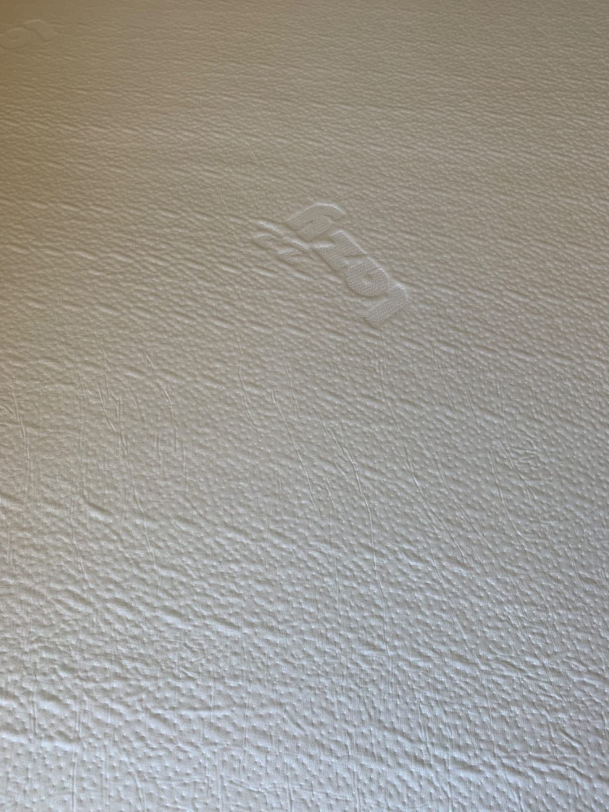 Lazyzizi Queen Inclined Wedge Mattress Topper, 5-Inch, Washable, Non-Slip Bottom, Promotes Better Sleep, Reduces Snoring, GERD Relief customer photo 1