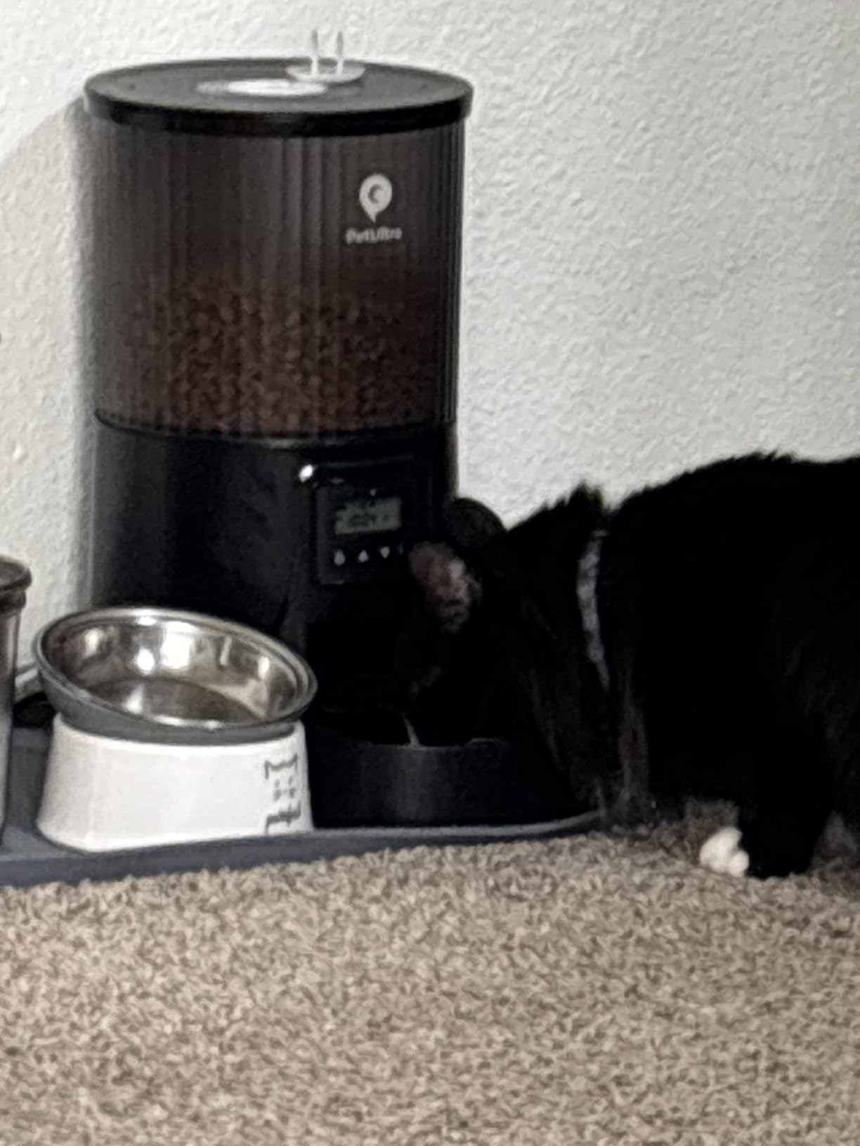 PETULTRA Automatic Cat Feeder: 4L Timed Cats Food Dispenser Programmable customer photo 2