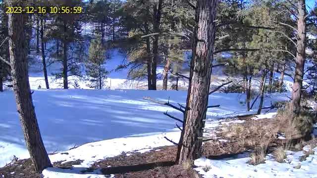 Xega 4G LTE Solar Cellular Security Camera with SIM Card, No WiFi Needed customer photo 1