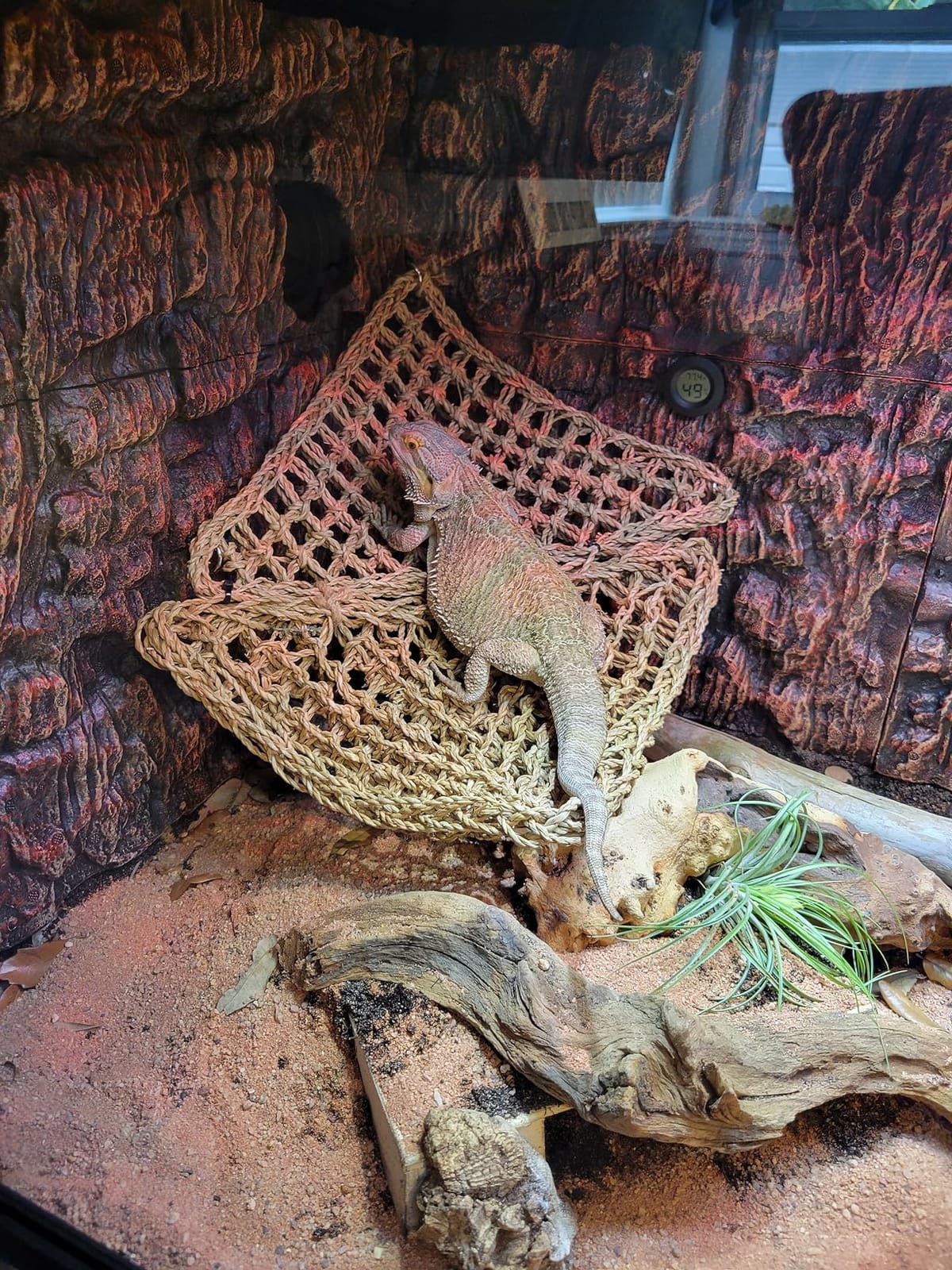 Reptile Habitats 4x2x2 (120 Gallon) Reptile Enclosure V3 PVC Panels, Glass Doors, Lightweight, Easy to Assemble, Heavy Duty Screen, Aluminum Frame customer photo 1