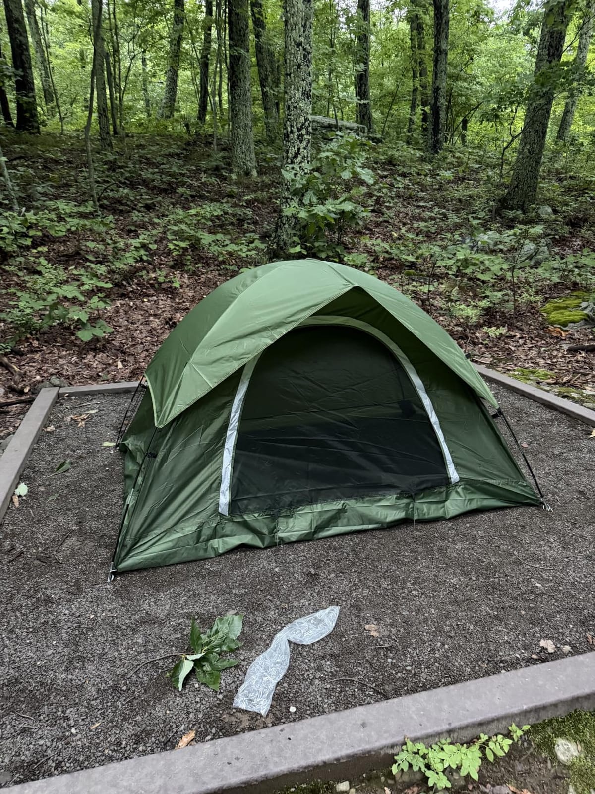 Clostnature Waterproof Camping Tent for 2 Person, 4 Person, Easy Setup Tent customer photo 2