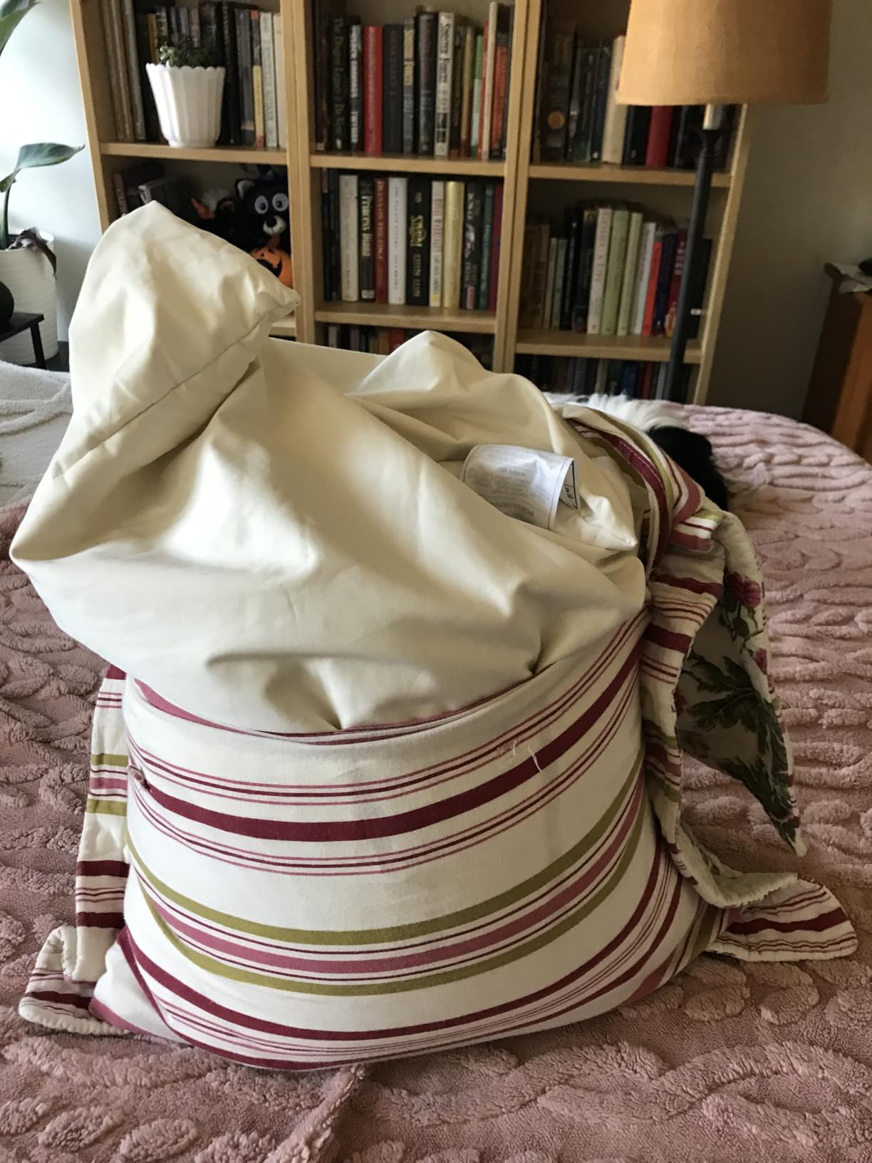 USlixury Organic Buckwheat Pillow 20x26, Adjustable Height, Neck Support | Organic Cotton Shell & Case, Extra 1lb Hulls Included, Cooling for Hot Sleepers, Side & Back Sleepers, White customer photo 2