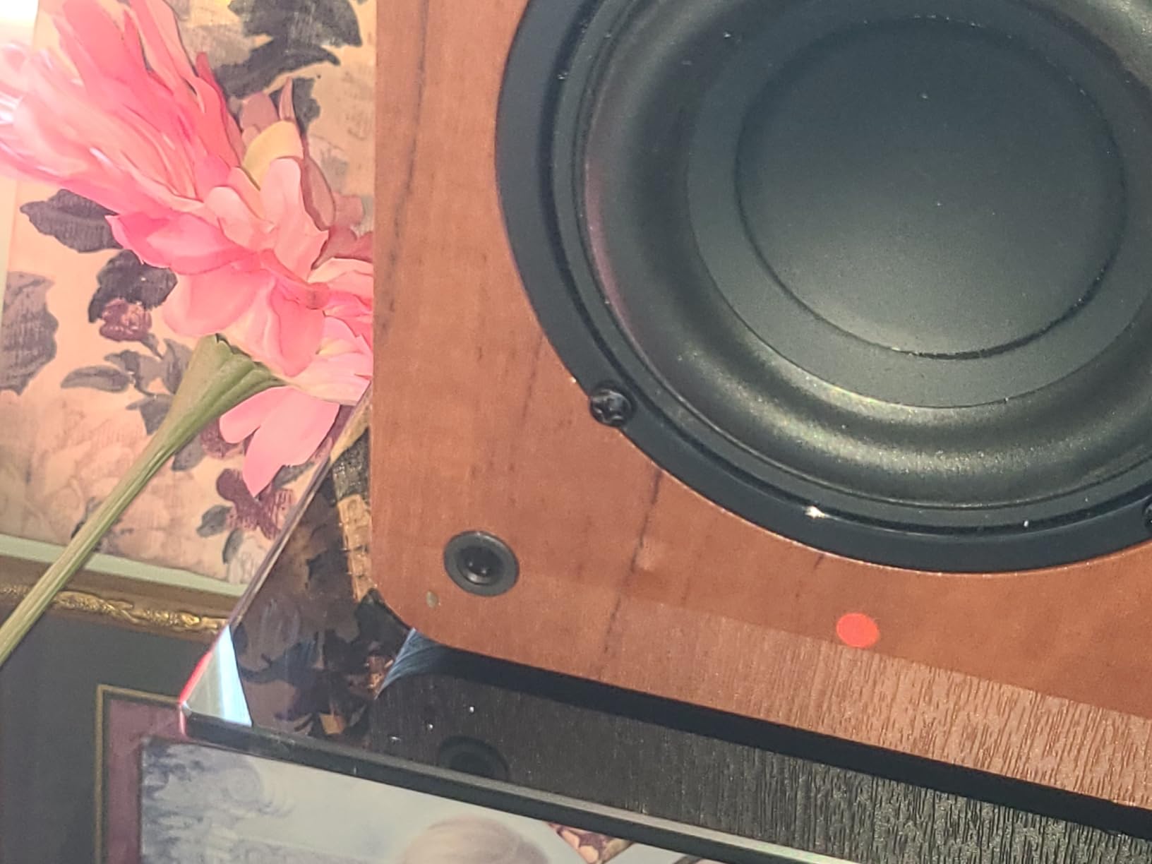 Saiyin Powered Bluetooth Bookshelf Speakers customer photo 2