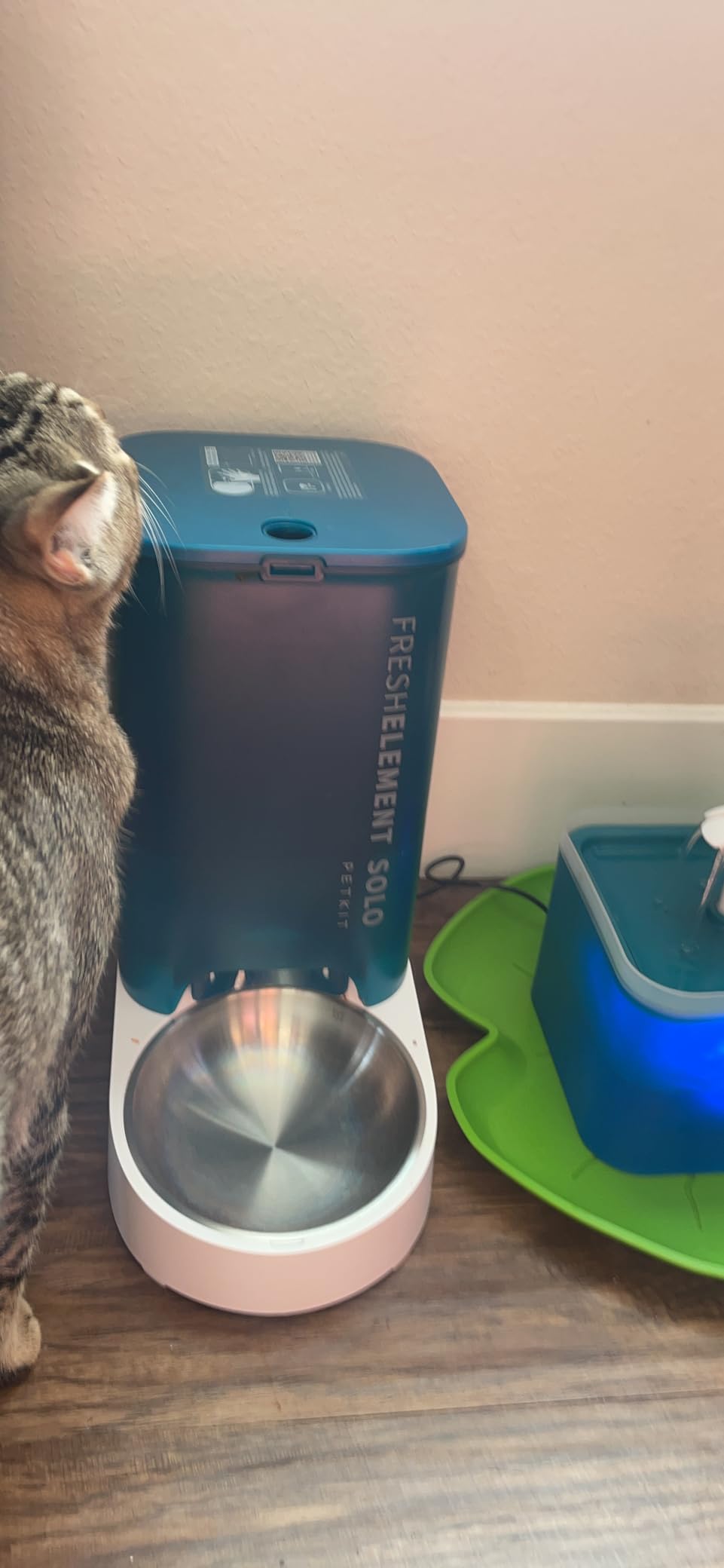 PETKIT Automatic Cat Feeder, 2.4G WiFi Automatic Dog Feeder, App Control Pet Food Dispenser with Triple Fresh-Lock System, Schedule Feeding, Food Shortage Alert, Dual Power-Charge&Battery,3L Capacity customer photo 1