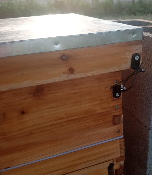 POLLIBEE 8 Frame Bee Hive Beeswax Coated Complete Bee Hives Includes Bee Frames and Waxed Foundations (2 Deep Boxes & 2 Medium Boxes) customer photo 2