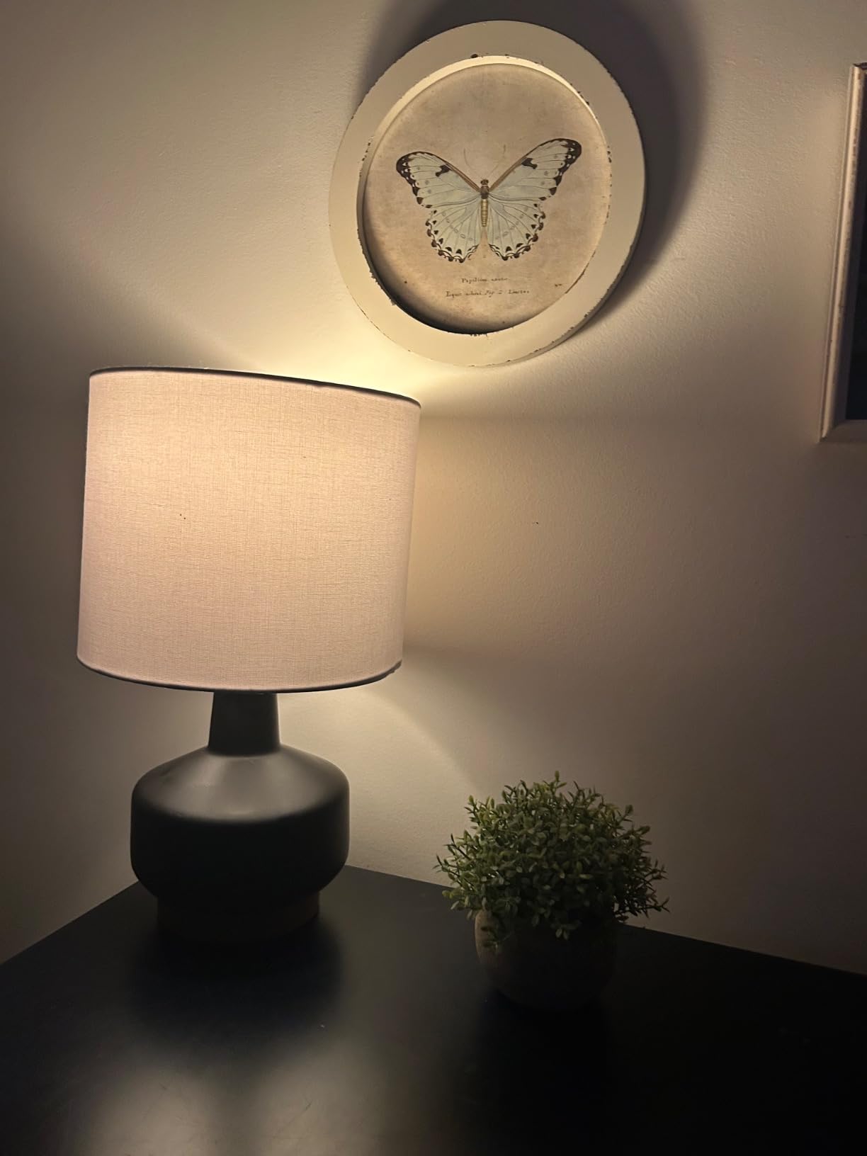 Globe Electric 15