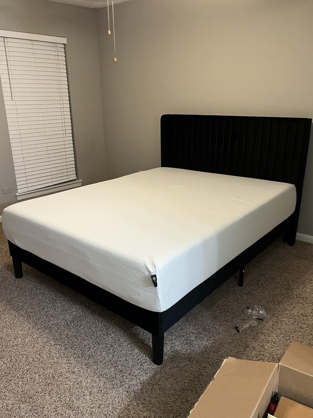 Zinus 12 Inch Full Green Tea Memory Foam Mattress, Medium Firm Feel | Pressure-Relieving Comfort & Full-Body Support, Naturally Fresh, CertiPUR-US & OEKO-TEX Certified Safe Materials customer photo 2