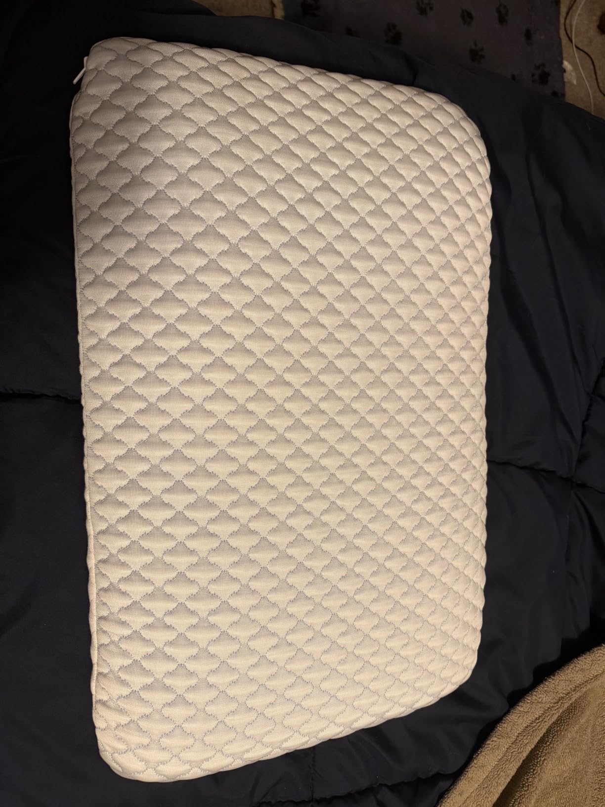 SofGlowly Ultra Thin Flat Pillows for Sleeping, Cooling Memory Foam Pillow 2.75 inch Height Ultra Thin Pillow, Slim Bed Pillows for Stomach Back Sleeper, Standard Size -16x25 Inch customer photo 1