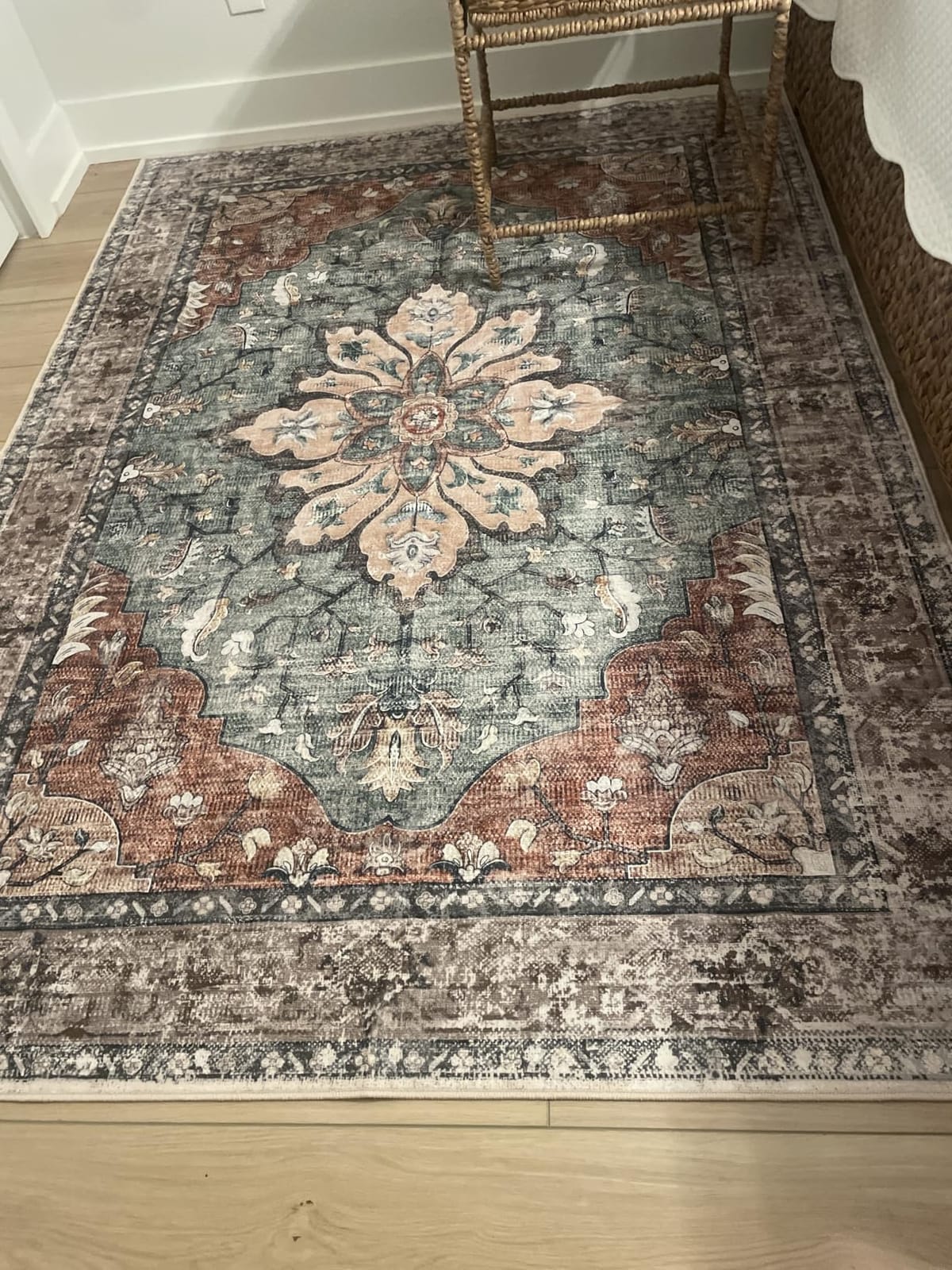 RELEANY Washable Area Rug, 5'x7', Brick/Brown/Green | Non-Slip, Water Repellent, Pet Friendly, Easy to Clean, Vintage Floral Boho Decor for Living Room Bedroom Dining Room Office customer photo 2