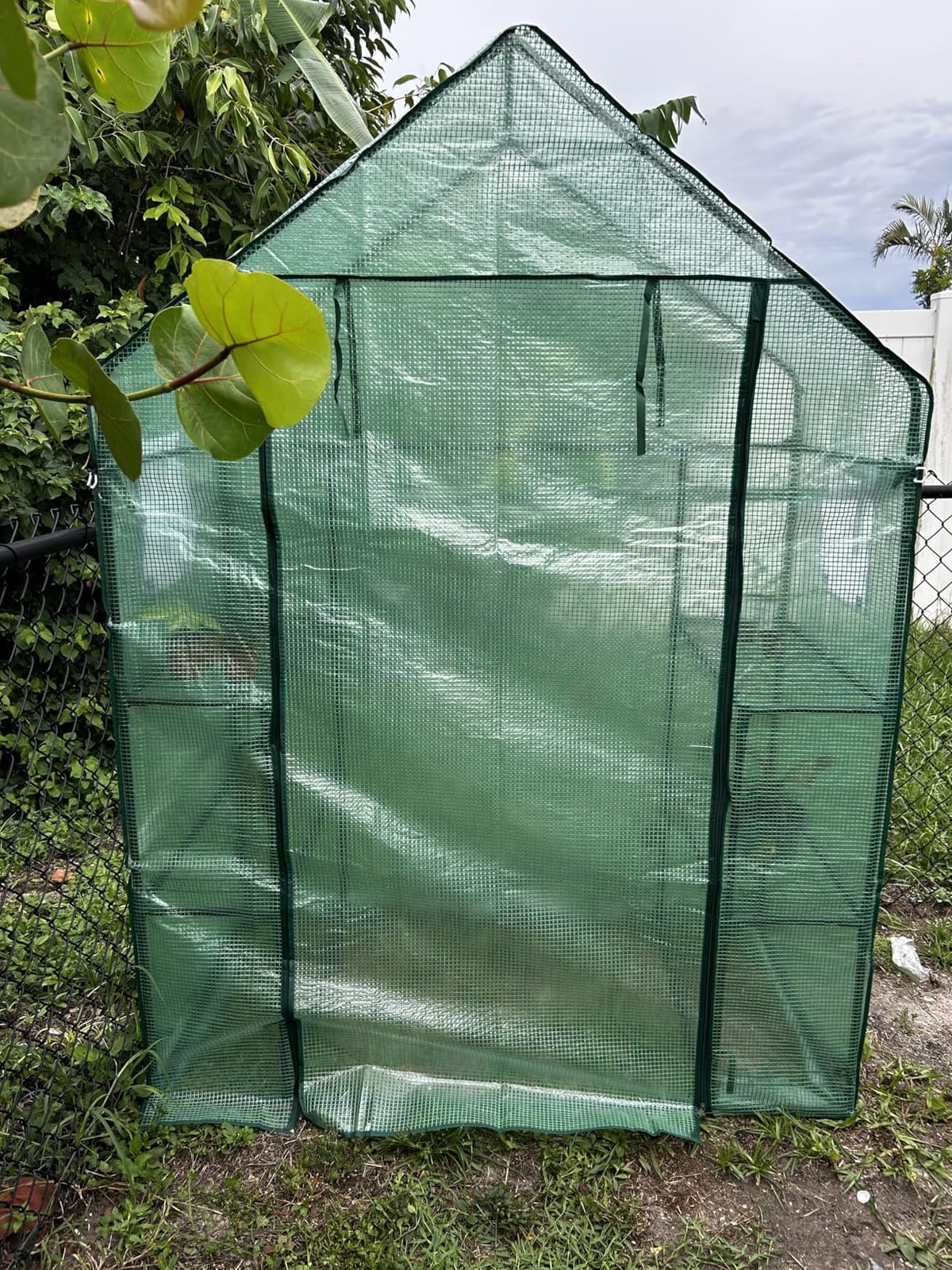 Heyfurni Walk in Greenhouse with Shelves, Walk-in Plant Green House with Durable Green PE Cover, 3 Tiers 6 Shelves Stands with Ground Pegs & Ropes for Stability, 56