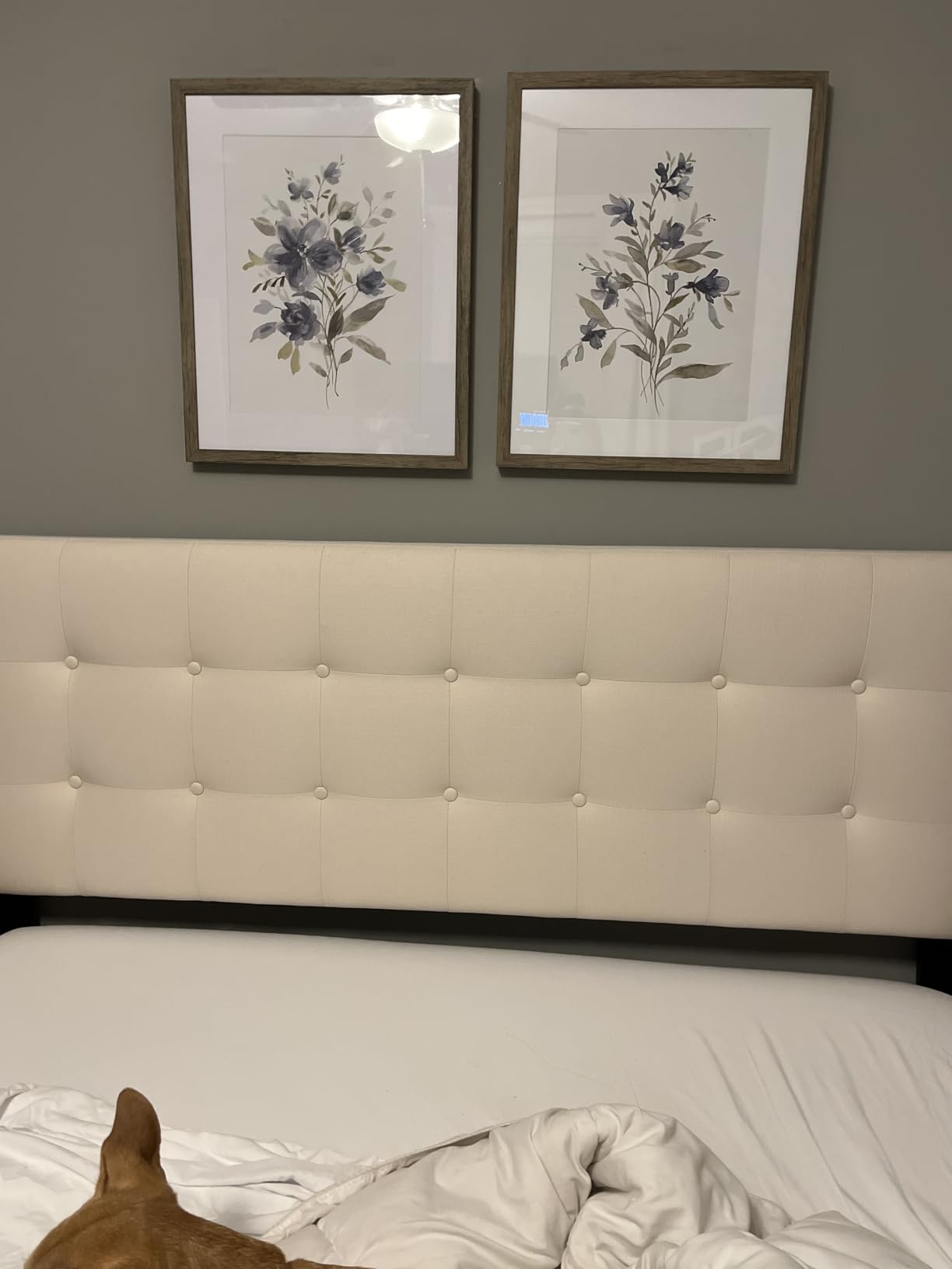 Zinus 8 Inch Full Cooling Essential Memory Foam Mattress, Medium Feel customer photo 1