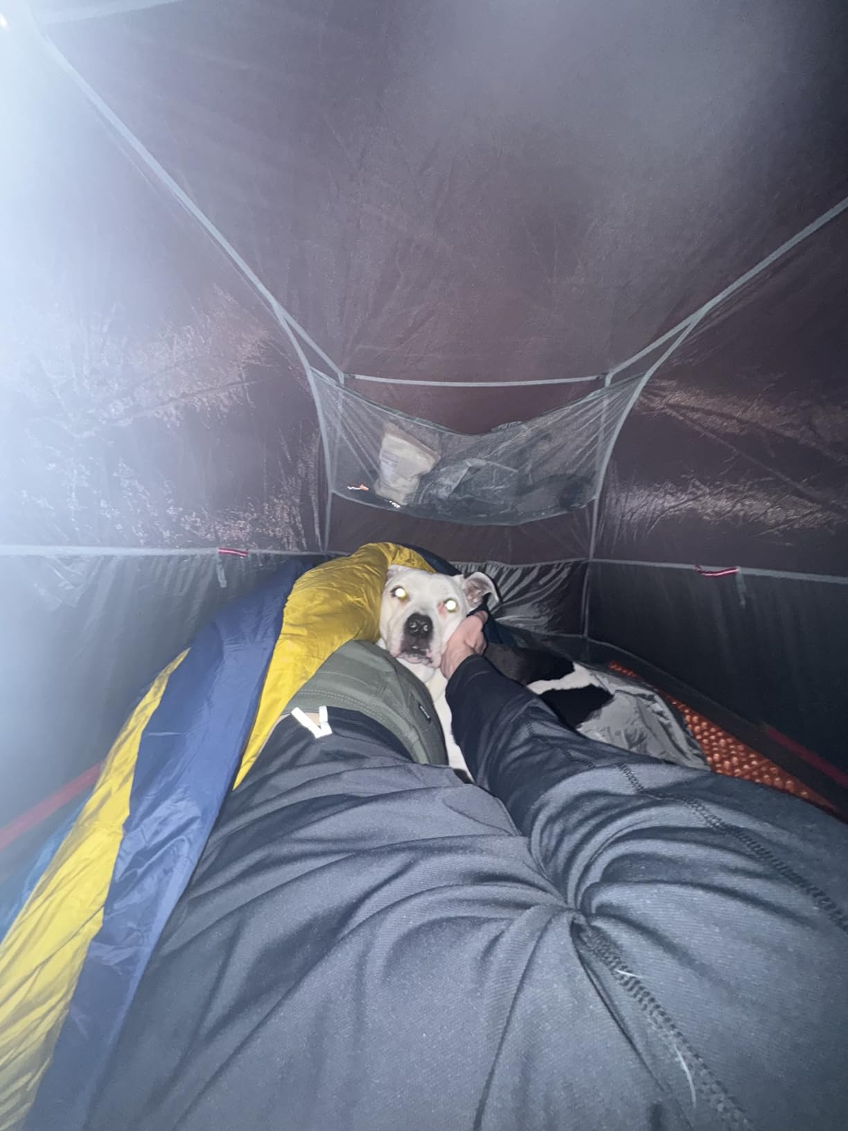 Kelty Cosmic 20 Down Mummy Sleeping Bag for Backpacking, Campers, 550 Fill Power, Recycled Fabrics with PFAS-Free DWR, Designed in Sunny Colorado, customer photo 1