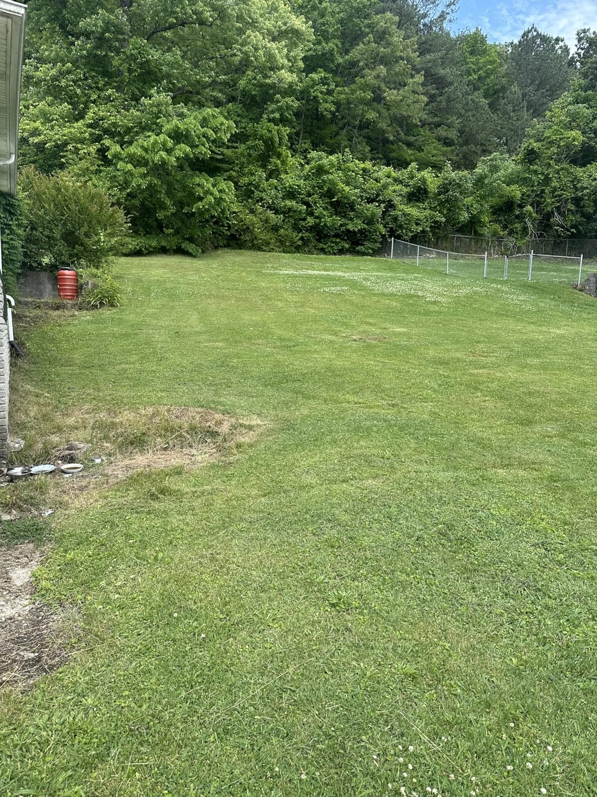 EGO Power+ Electric Lawn Mower, Cordless Push, Includes 56V 4.0Ah Battery and Charger - LM2112 customer photo 2