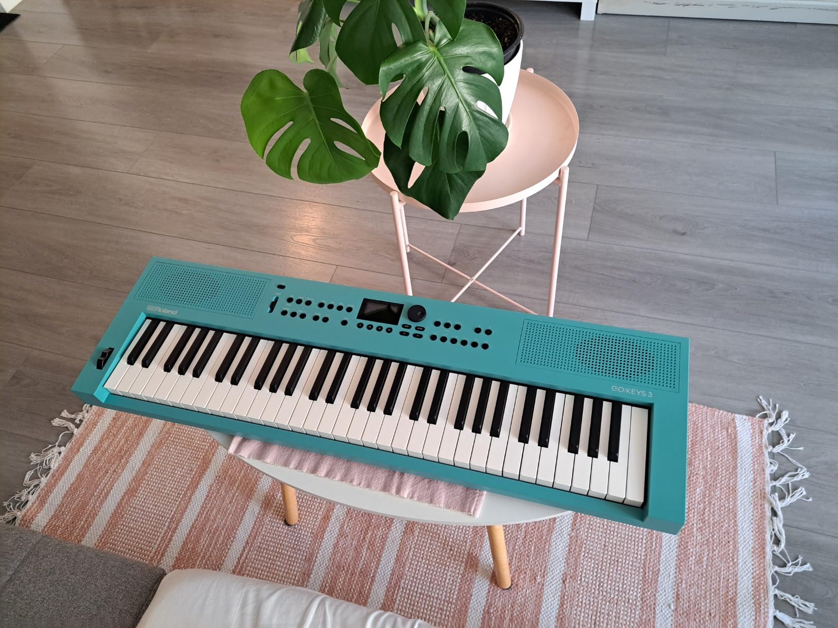 Roland GO:KEYS 3 Music Creation Keyboard, Dark Red customer photo 1