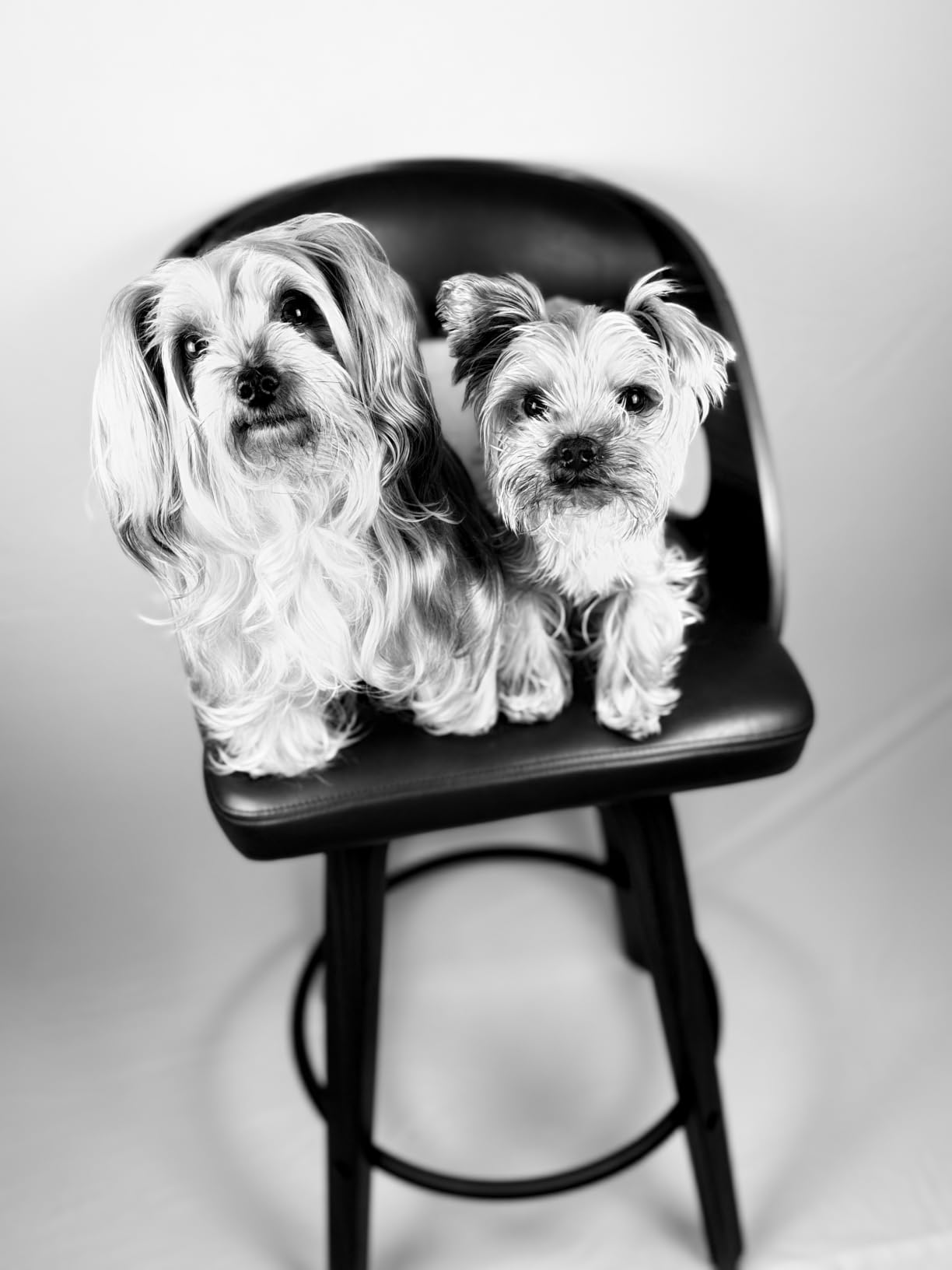 EMART Softbox Photography Lighting Kit 2Pack 50W LED 16