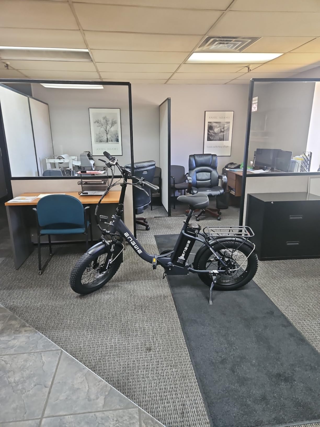 ENGWE 1125W Electric Bike for Adults, L20 2.0 20''×3.0