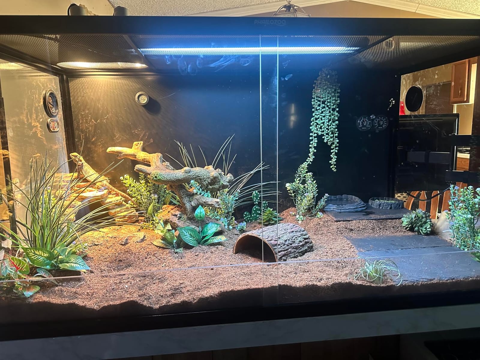Phailozoo 120 Gallon Reptile Tank for Bearded Dragon, Snake, Adult Reptile | Optimal Ventilation & Light Penetration by Rust Proof Mesh Top, Easy Assembly within 6 Steps with Clear Instruction customer photo 1