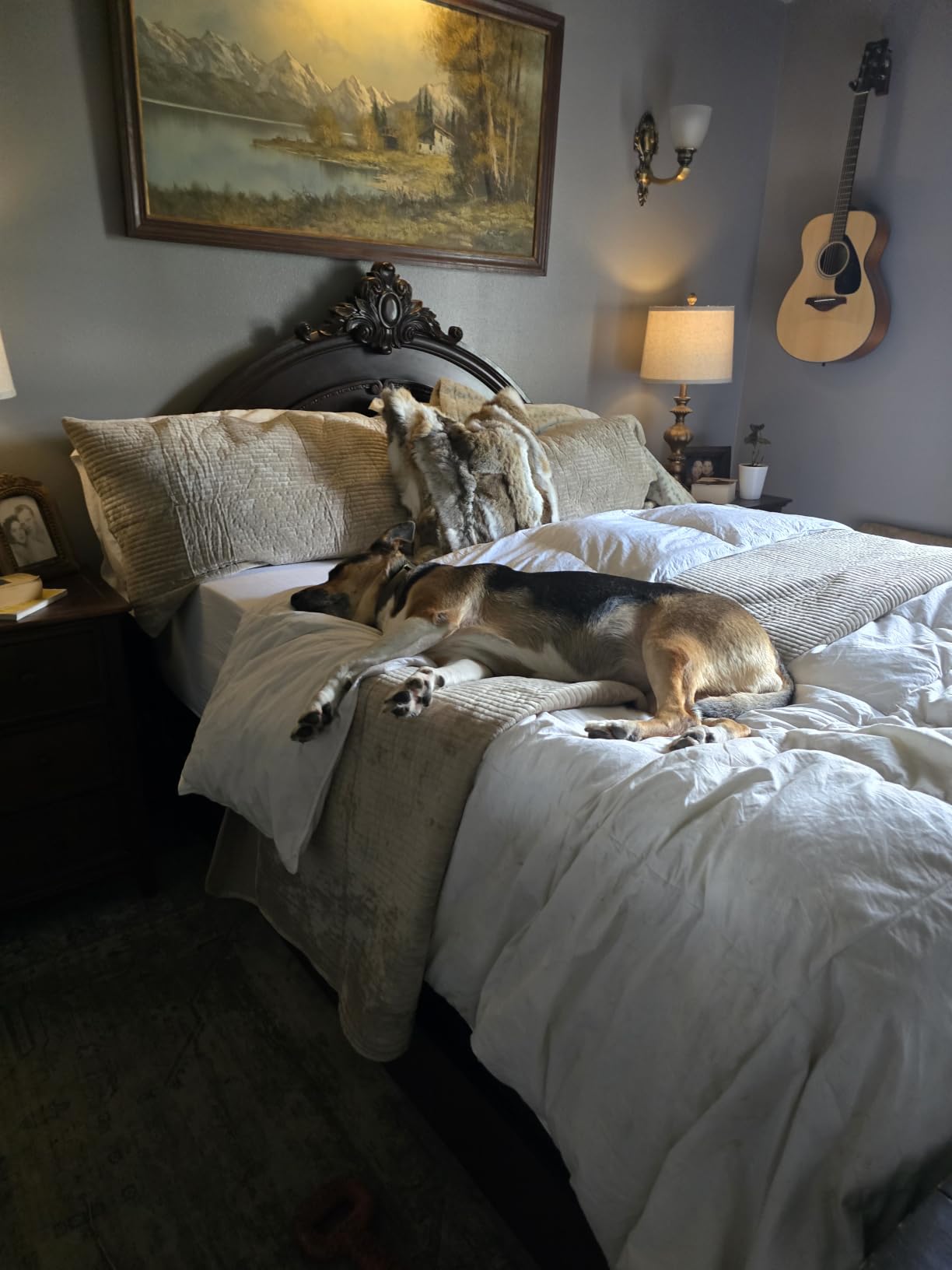EverGrace Striped Channel Velvet Quilt Set, Queen Size, Urban Taupe | Luxurious Soft Lightweight Velvet Comforter, Oversized Bedspread Coverlet, Quilted Bedding Set for All Season, with 2 Shams customer photo 2