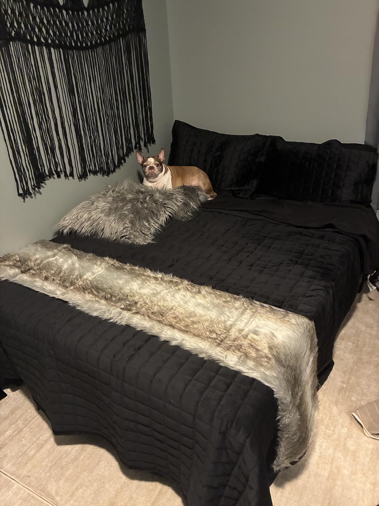 Tribeca Living Luxury Velvet Quilt Queen Size Set - 260GSM Ultra-Soft Oversized Velvet Bedspread Comforter Set with 2 Shams, in Florence Gold customer photo 1