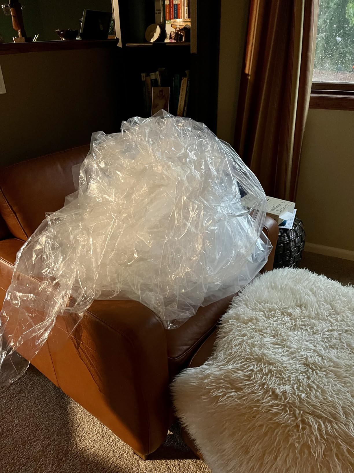 My Green Mattress Kiwi Organic Mattress - Hybrid Latex Mattress with GOTS Cotton & Wool, GOLS Latex, 7-Zone Pocket Coil Support, Hand-Tufted Tight Top, Medium Firm Bed, Breathable & Durable - King customer photo 1