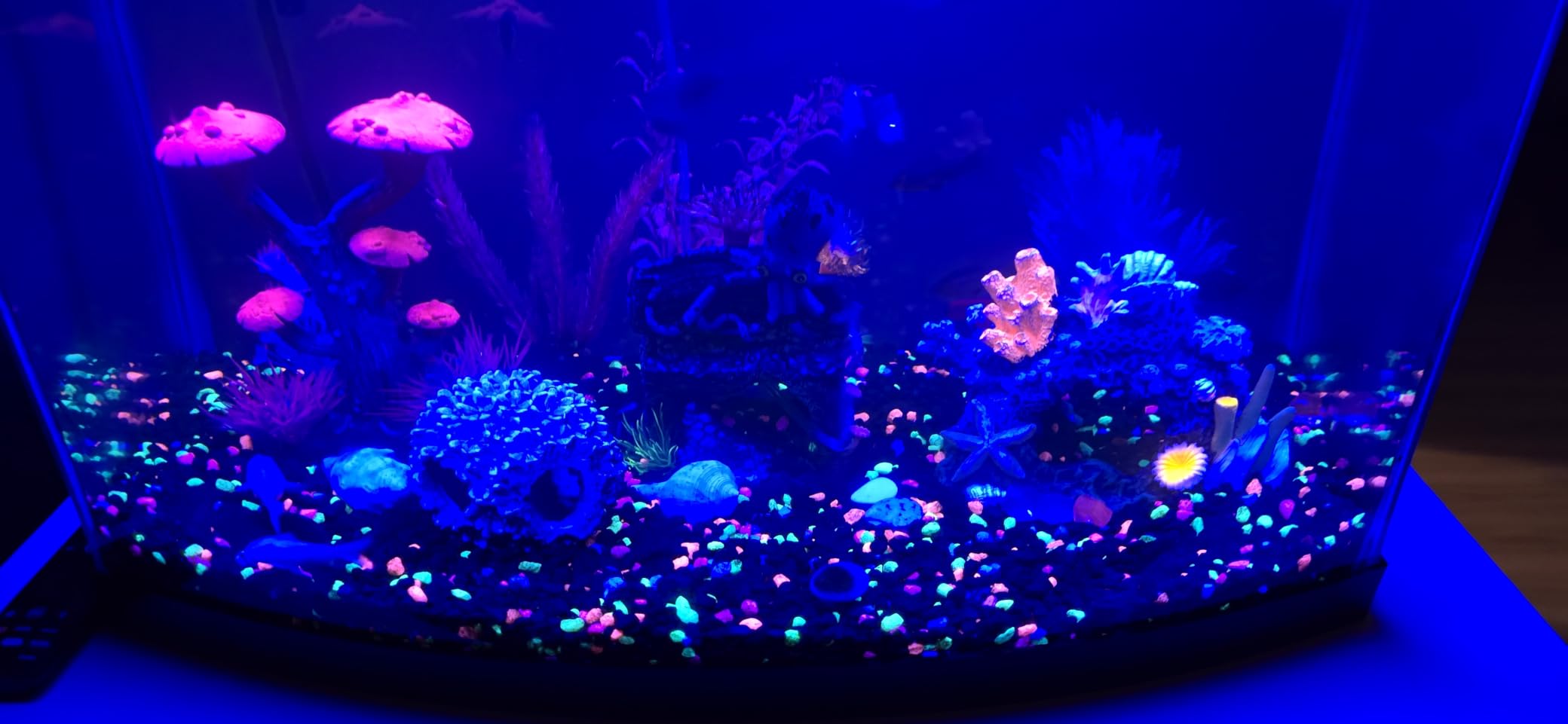 AQQA LED Aquarium Light, 24/7 & DIY Mode Full Spectrum Fish Tank Light customer photo 1