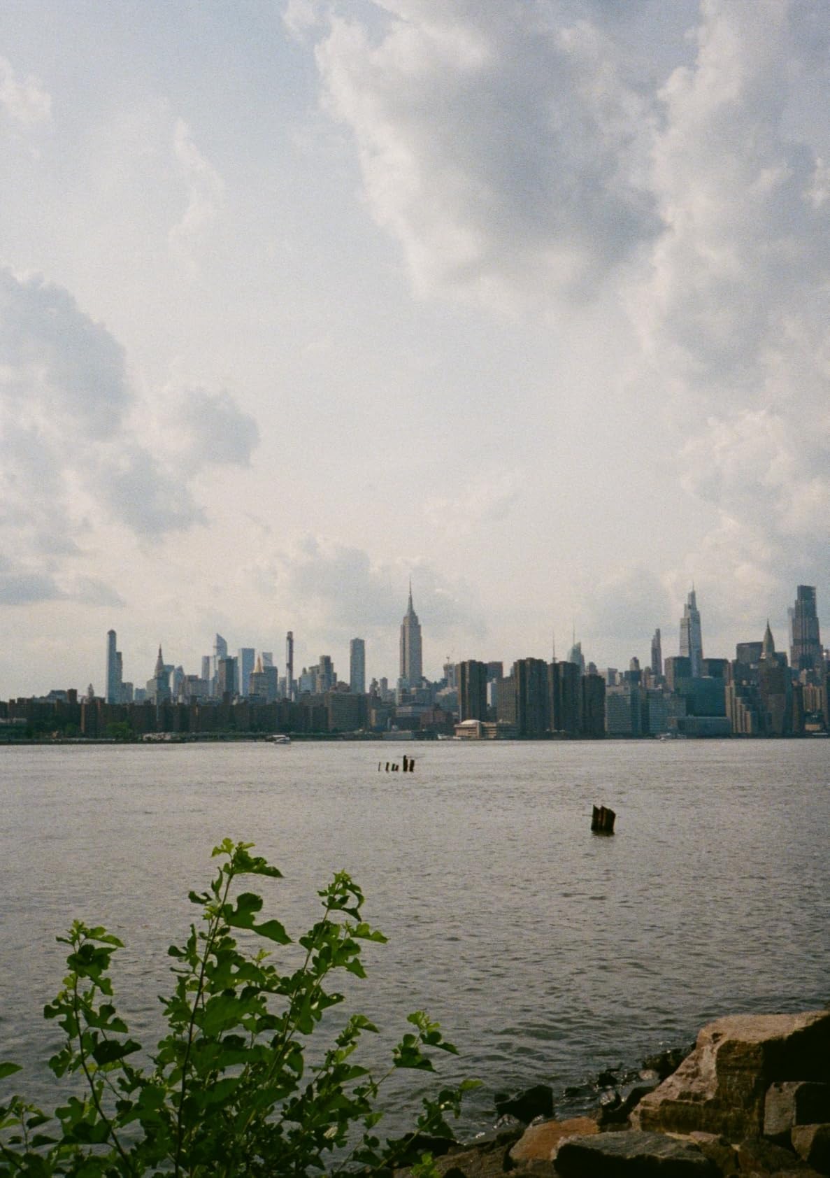 PENTAX 17 35mm Film Camera, Half-Frame Format customer photo 1