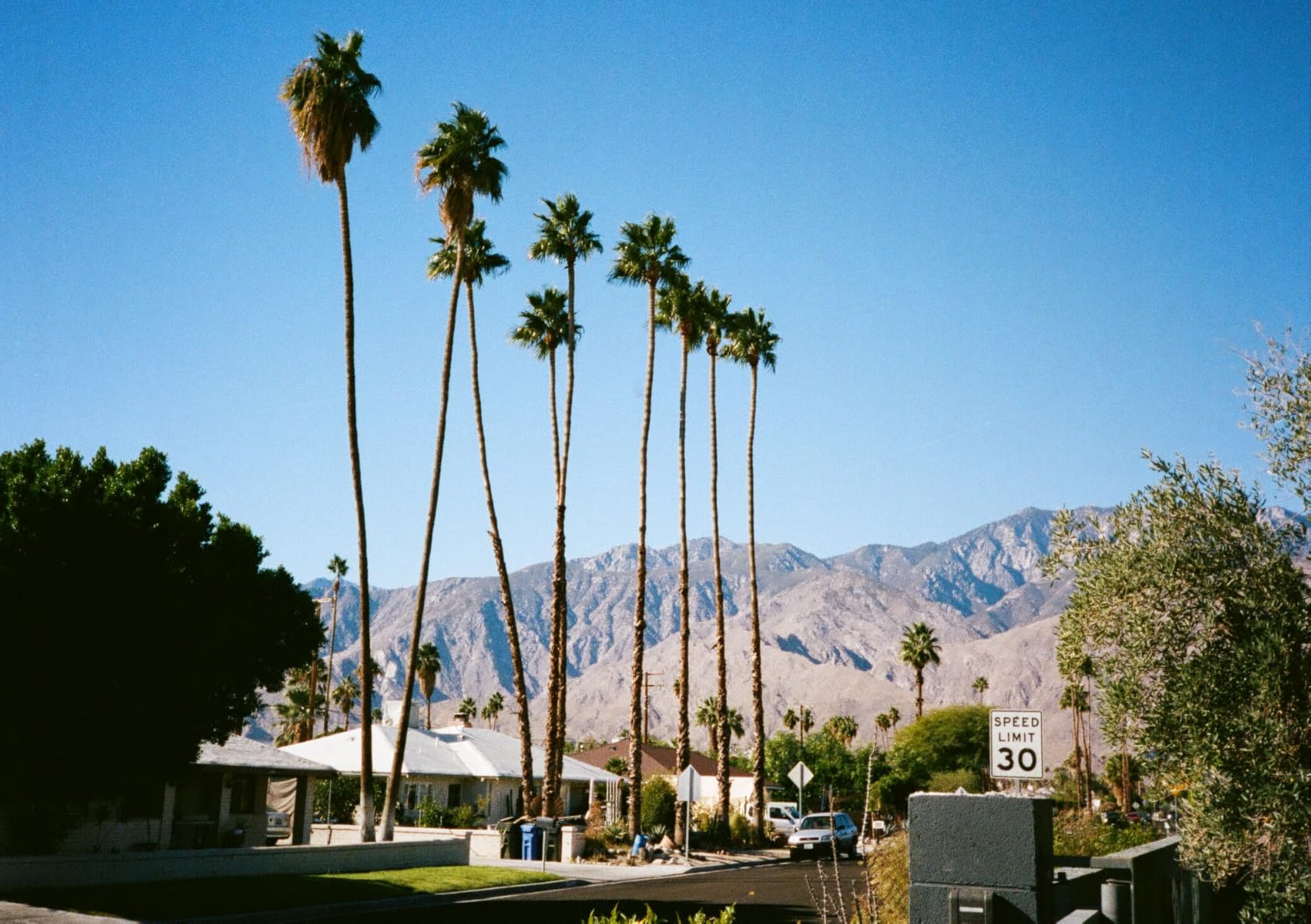 PENTAX 17 35mm Film Camera, Half-Frame Format customer photo 2