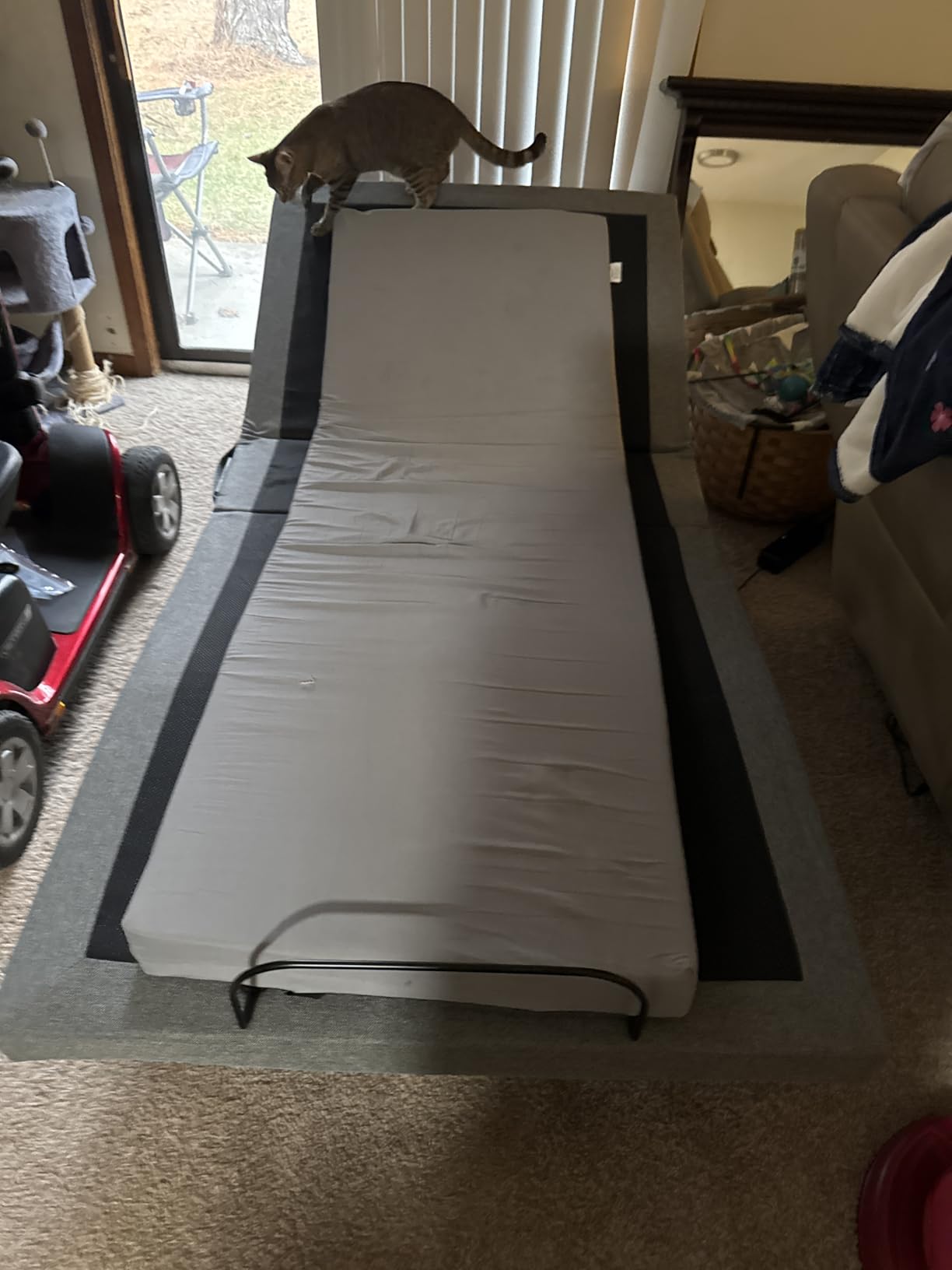 Best Choice Products Ergonomic Twin XL Size Adjustable Bed Frame, Electric Base w/Wireless Remote Control, Nightlight, Massager, 2 USB Ports customer photo 2