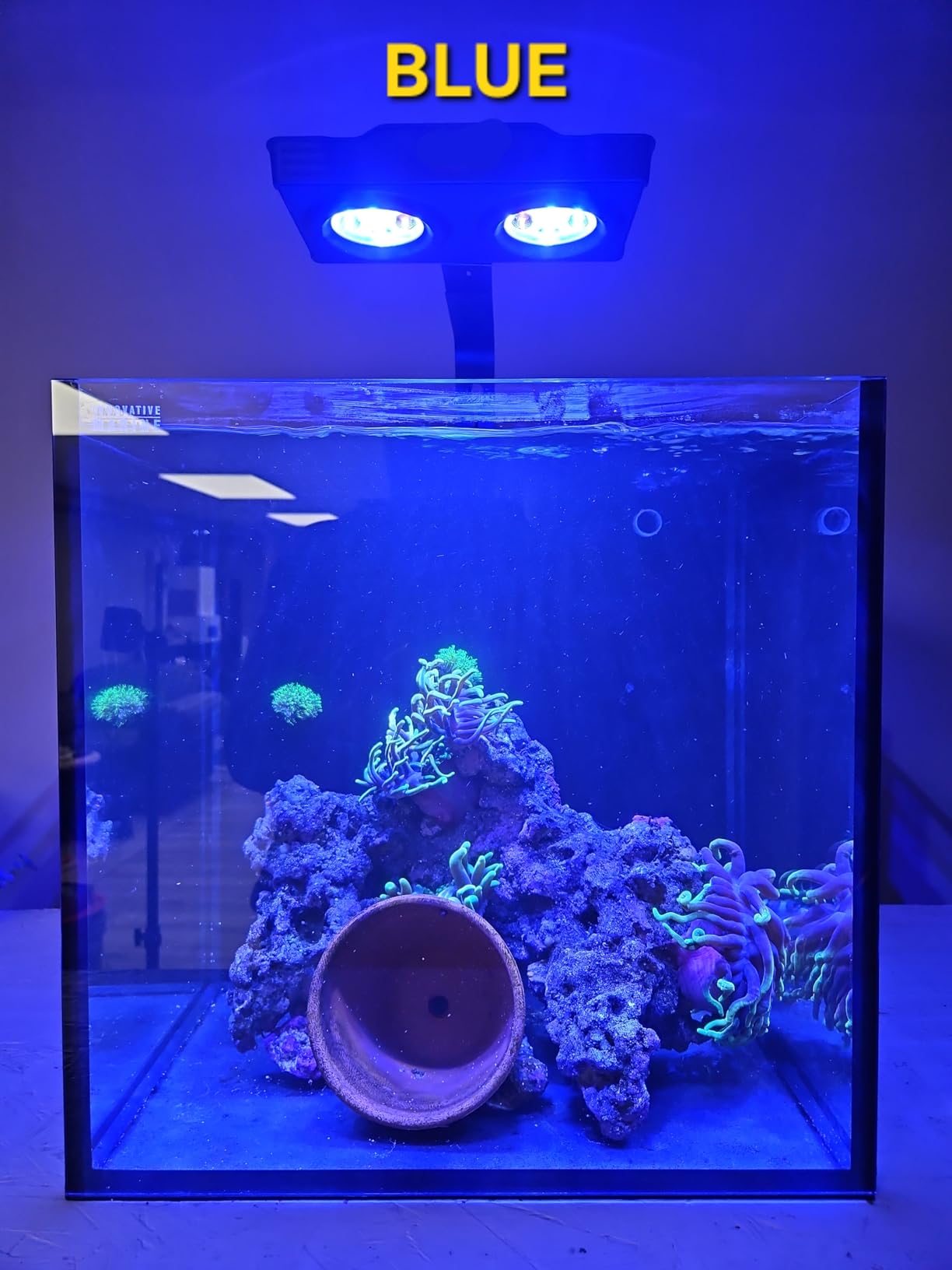 Aquarium Light –A036 Reef Tank Light 36 Watts Saltwater Light with Touch Control, Reef Lights for Coral Reef Nano Fish Tank Marine Tanks with Timer & Screen customer photo 1