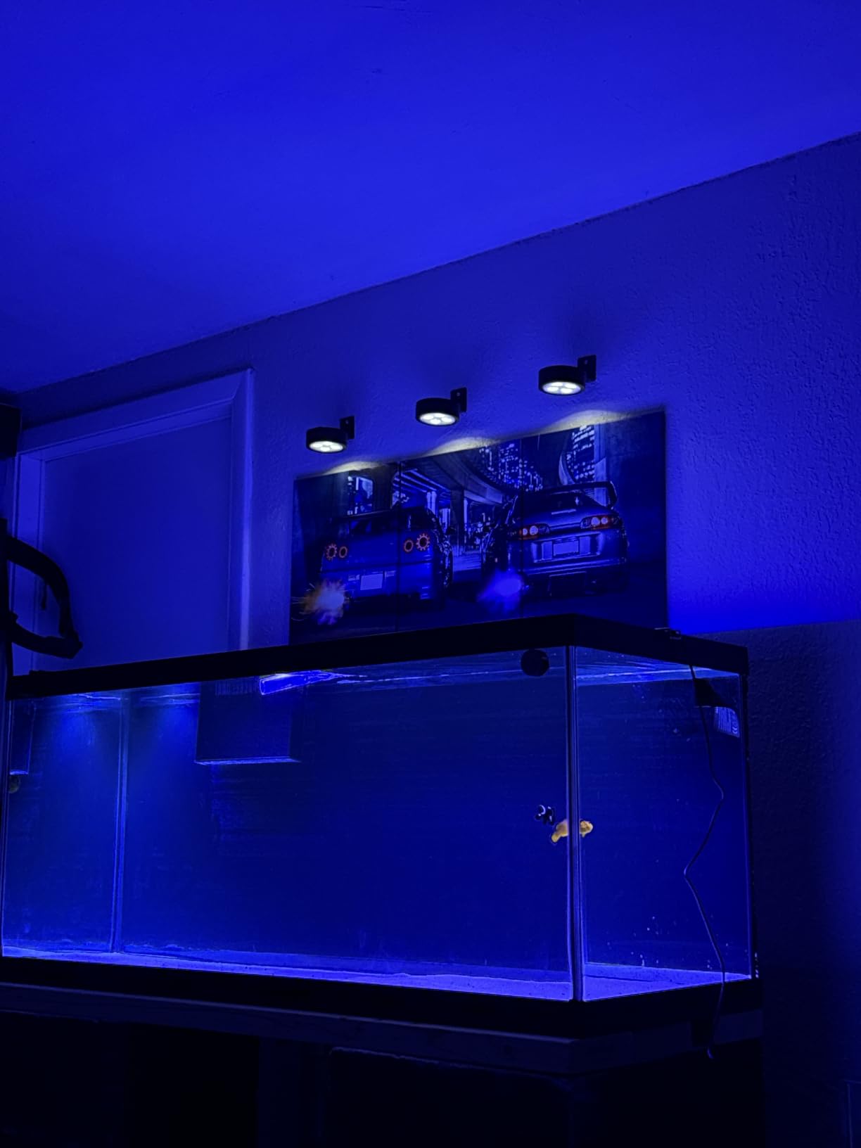 Aquarium Light –A036 Reef Tank Light 36 Watts Saltwater Light with Touch Control, Reef Lights for Coral Reef Nano Fish Tank Marine Tanks with Timer & Screen customer photo 2