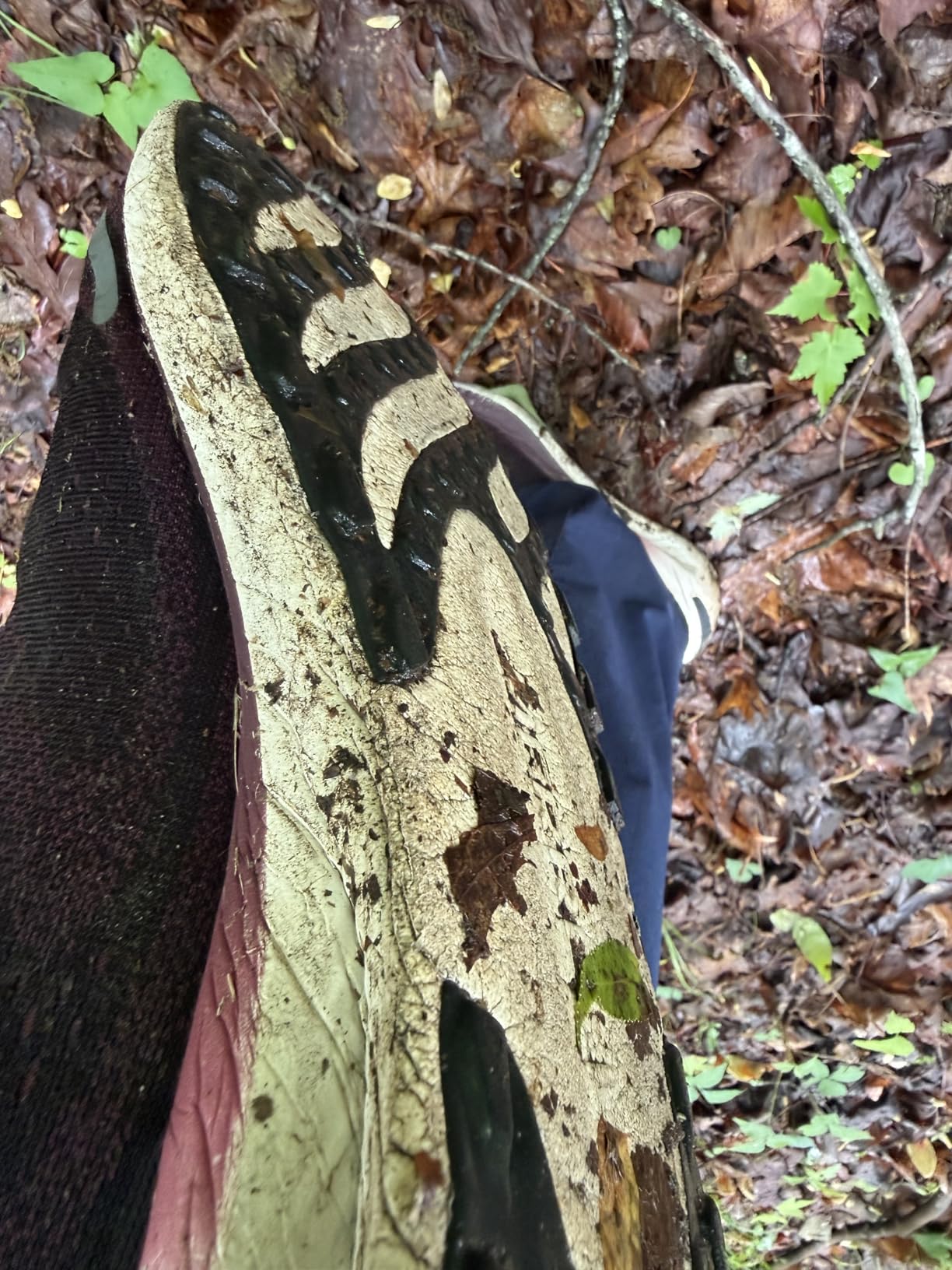 Merrell Men's Morphlite Trail Sneakers customer photo 2