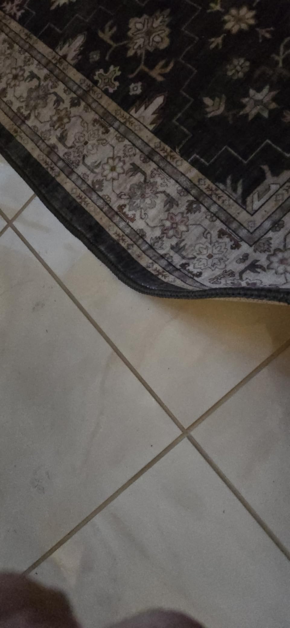 Black Boho Living Room Rug 5x7, Washable Dark Vintage Moody Low Pile Non Slip Carpet for Bedroom, Dinning Room, Office, Farmhouse, Retro Area Rug Indoor Decor (5x7 Black/Multi) customer photo 1
