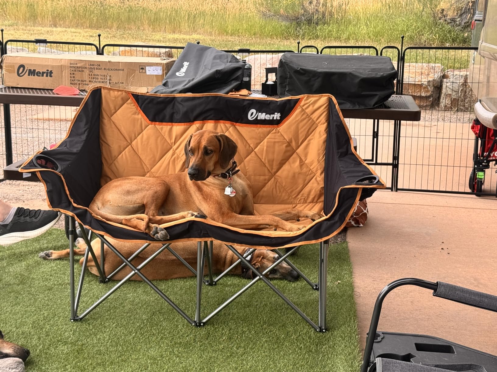 EMERIT Oversized Fully Padded Camping Chair, Heavy Duty 650LB Folding Camping Loveseat, Quad Fold Double Camping Couch with Cup Holders & Carry Bag for Outdoor, Lawn, Sports Events Black customer photo 1