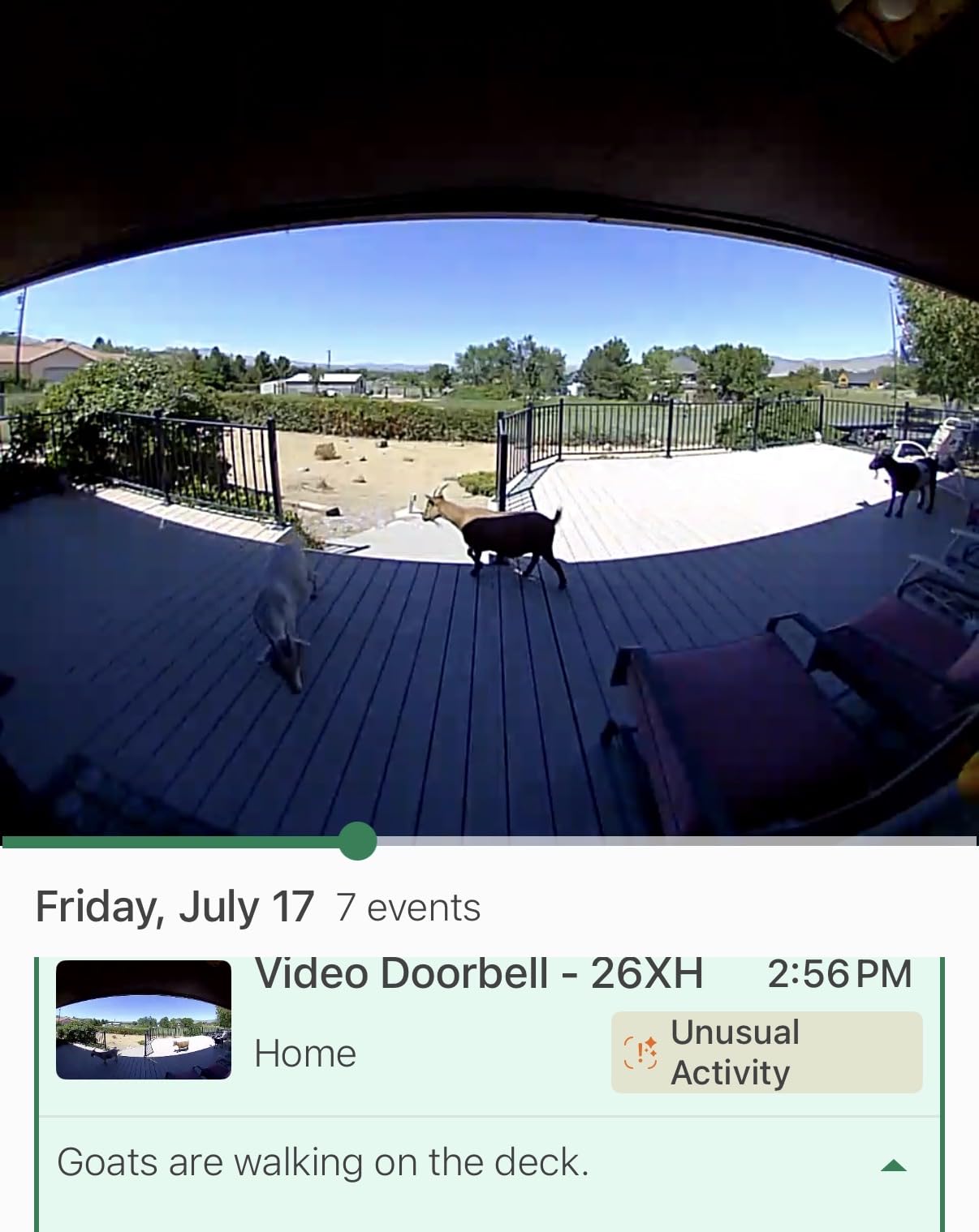 Blink Video Doorbell – Head-to-toe HD view, two-year battery life, and simple setup. Sync Module Core included – System (White) customer photo 1