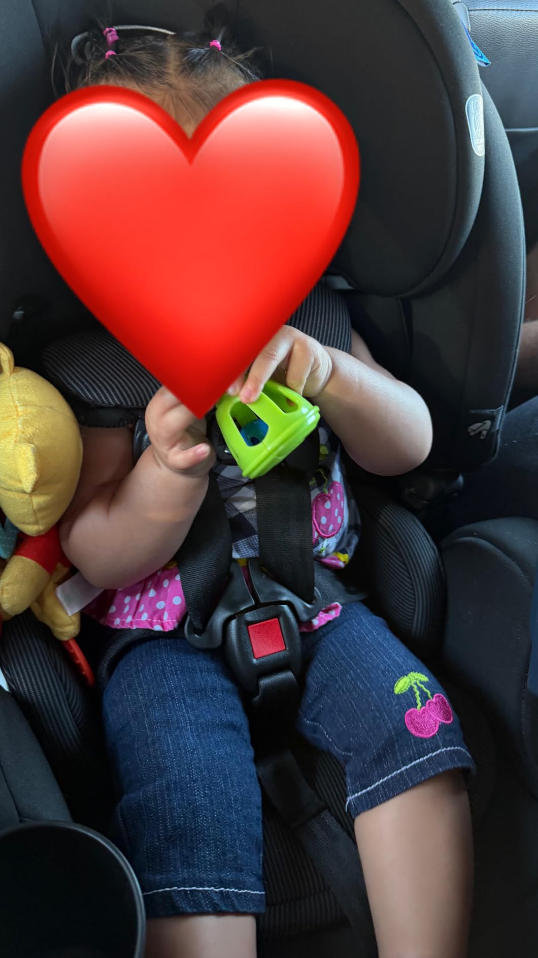 Graco 4Ever DLX 4-in-1 Convertible Car Seat, Maven customer photo 1