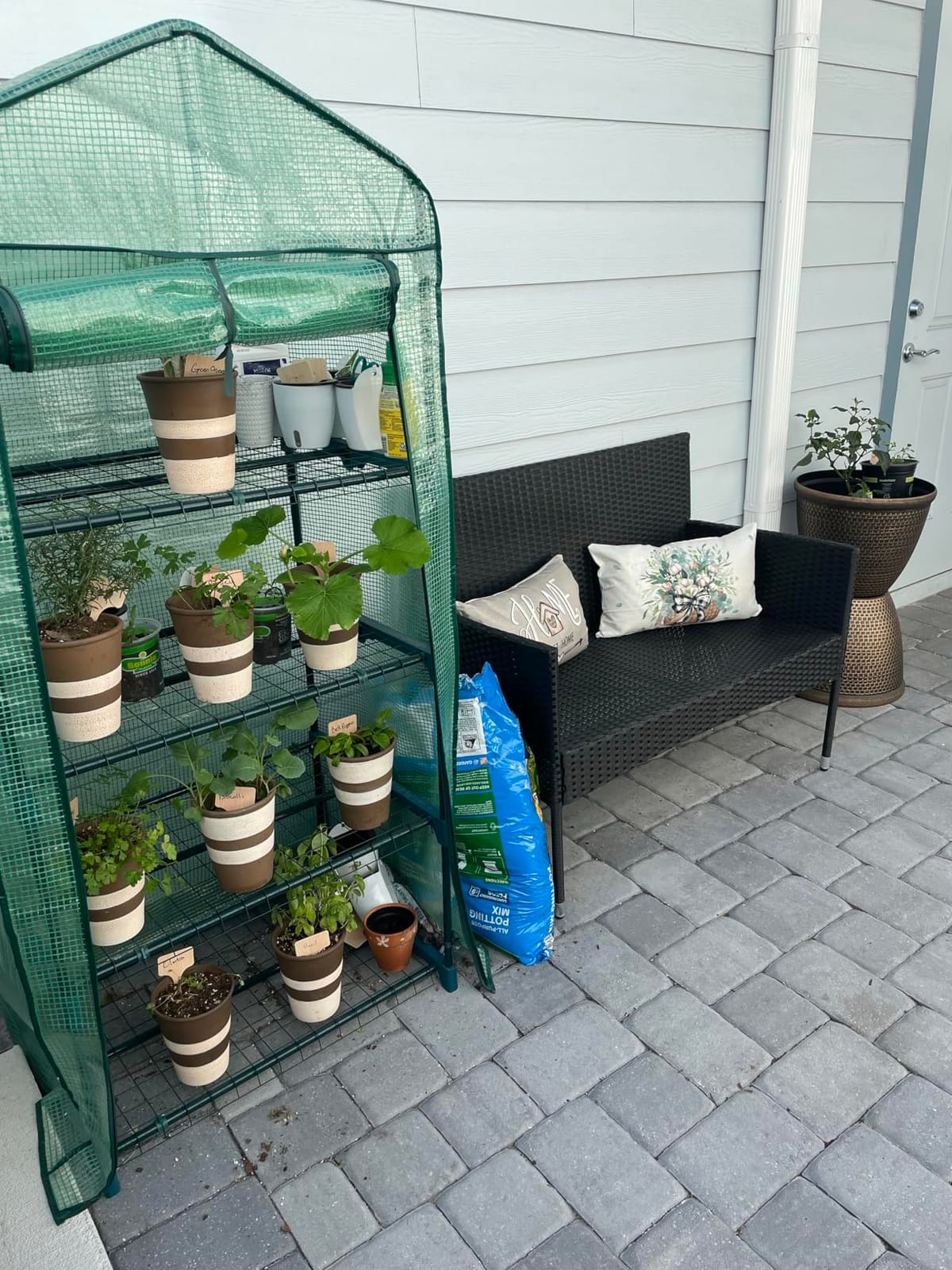 4-Tier Mini Greenhouse for Indoor Outdoor | Small Plastic Plant Green House Portable Greenhouses with Durable PE Cover for Seedling customer photo 1