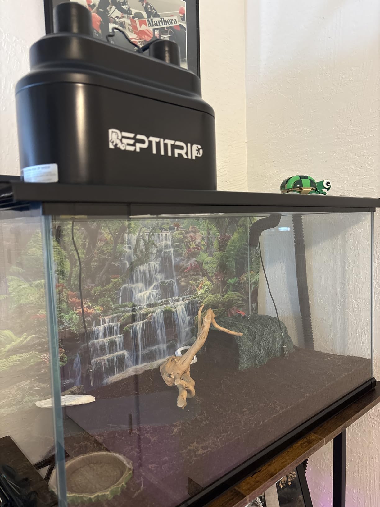 Dual Reptile Light Fixture with Switches, Reptile Heat Lamp Fixture, Reptiles Terrarium UVB Bulb Fixture for Bearded Dragon, Max 160W Each (Bulb Not Included) customer photo 1