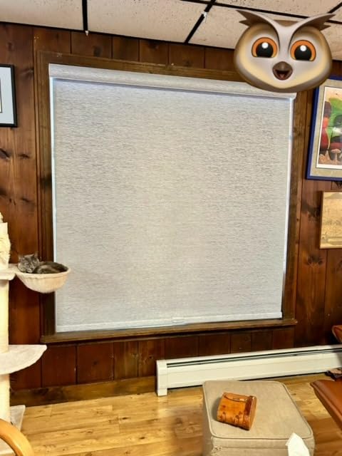 Boolegon Motorized Roller Blinds with Remote Control, Blackout Linen Fabric-Matched Automatic Roller Shades for Windows, Rechargeable Electric Window Shades for Home, Office, Black, Custom Now customer photo 1