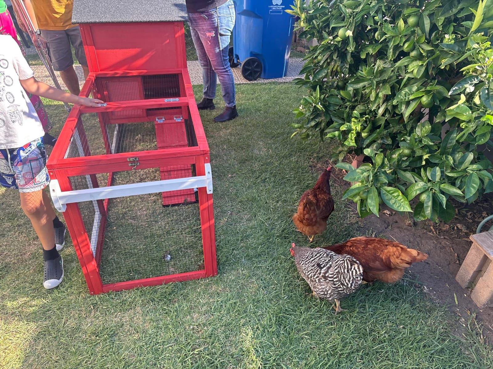 Mobile Chicken Coop with Wheels for 4-6 Chickens, Large Outdoor Hen House with Run, Weatherproof Asphalt Roof, Sectionable Nesting Box & Pull-Out Tray, 82.4