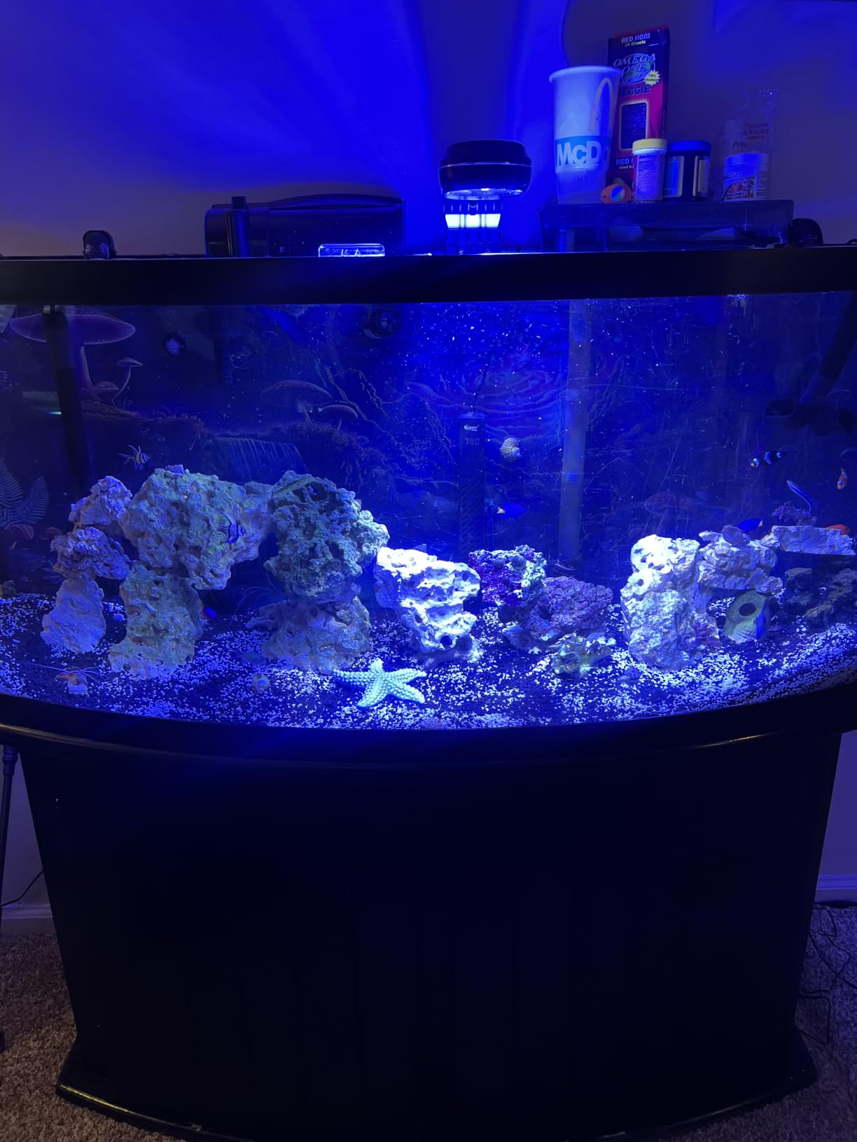 PopBloom RL60 WiFi Reef LED Light, 60W Full Spectrum Marine Reef LED Aquarium Lighting for Soft/LPS Corals & Saltwater Fish Nano Tanks, Built-in Timer, WiFi Phone Programmable, Sunrise Sunset customer photo 2