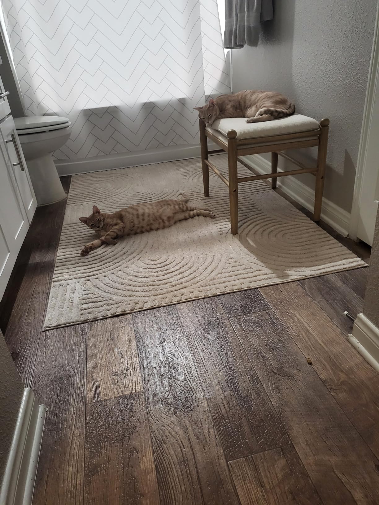 Pauwer 5x7 Area Rugs for Living Room, Modern Non Slip Washable Rug, Beige | Arch Pattern, Soft Fluffy, Neutral, Boho Accent, Solid Color Floor Carpet for Kids Room Dining Room Nursery Entryway customer photo 2