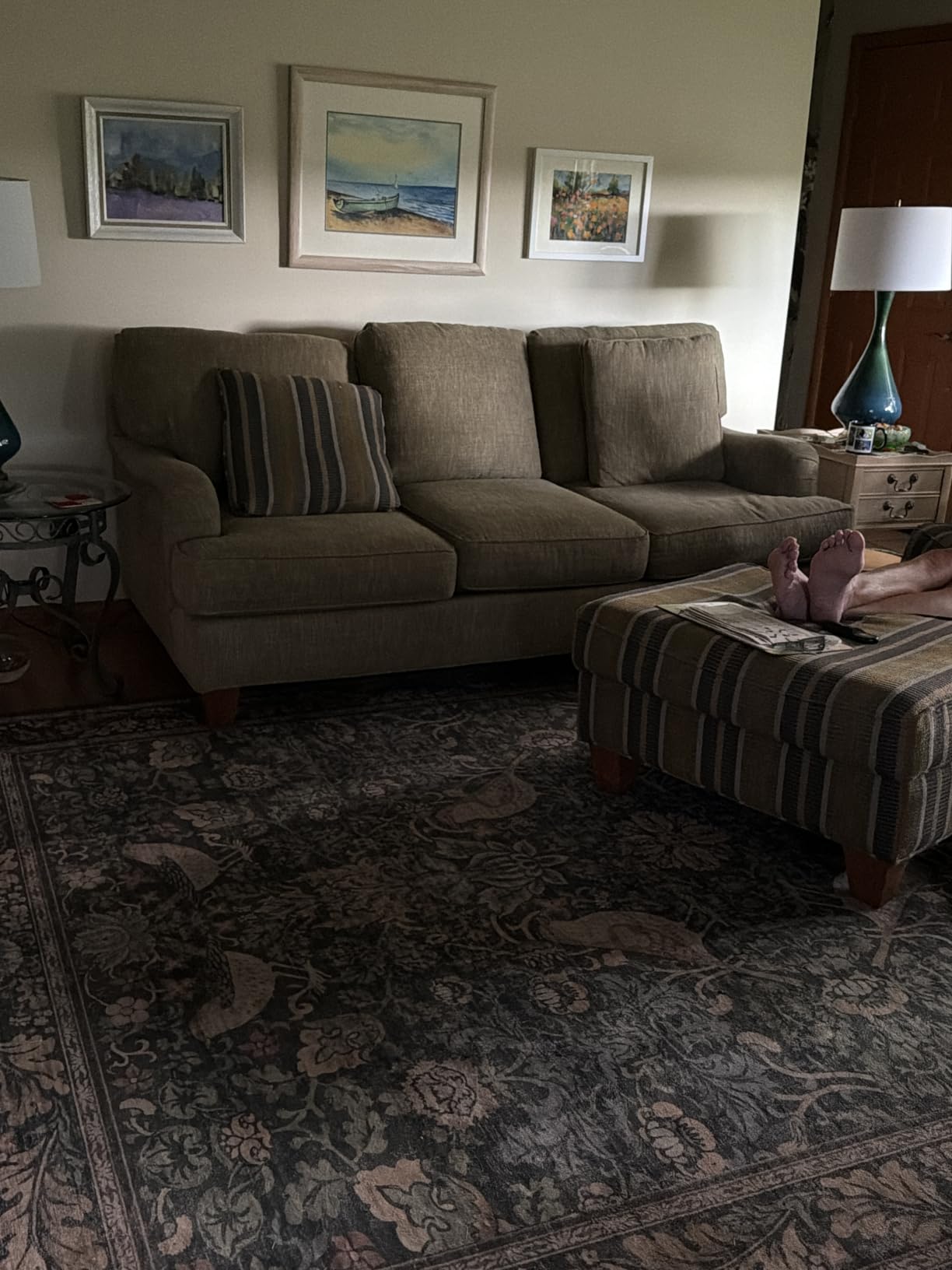 Hazo Haus Vintage Floral Area Rug 5x7 for Living Room - Dark Green Forest Bird Rugs for Bedroom, Dining Room, Office, Non Slip Stain Resistant Low Pile customer photo 1
