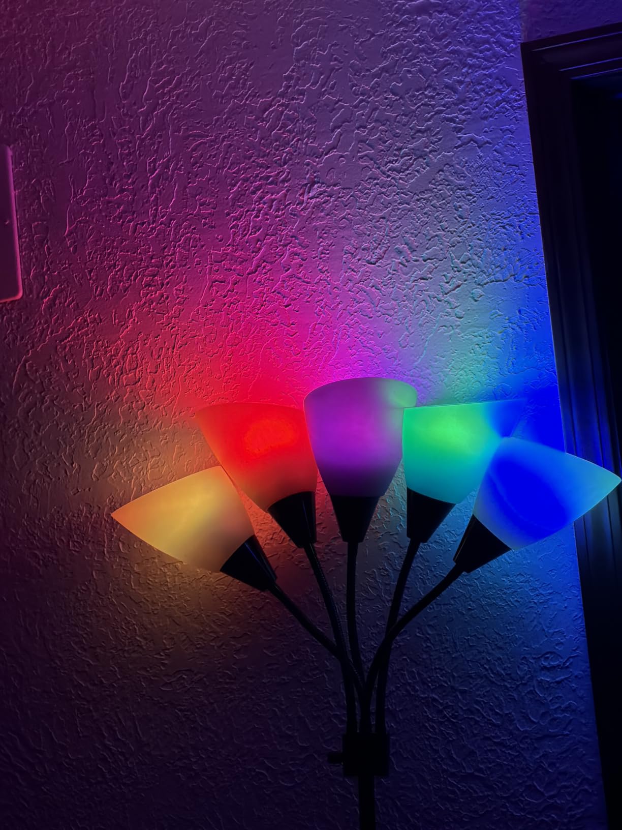 DAYBETTER Smart Light Bulbs, A19 E26 Color Changing Bulbs, Works with Alexa customer photo 1