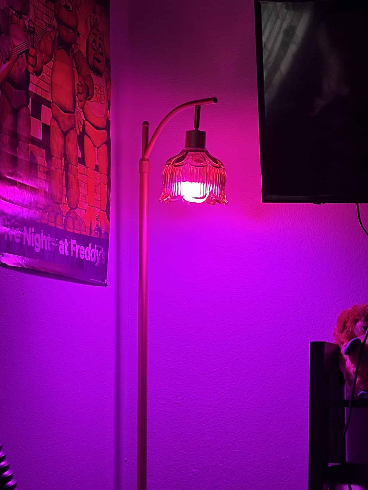 DAYBETTER Smart Light Bulbs, A19 E26 Color Changing Bulbs, Works with Alexa customer photo 2