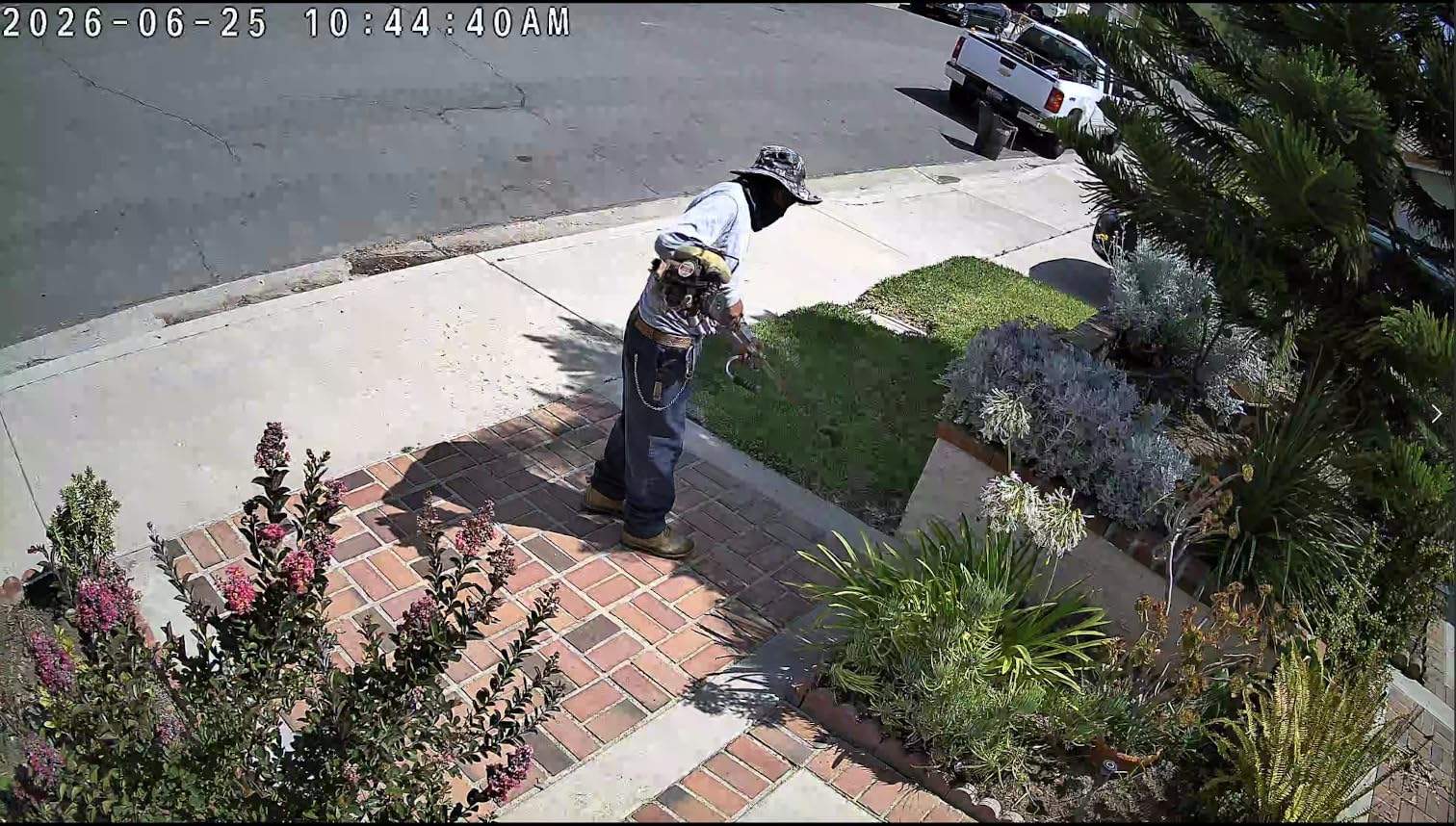Tapo 4K Outdoor Pan/Tilt Wireless Security Camera, Solar Charging, C660 KIT customer photo 2