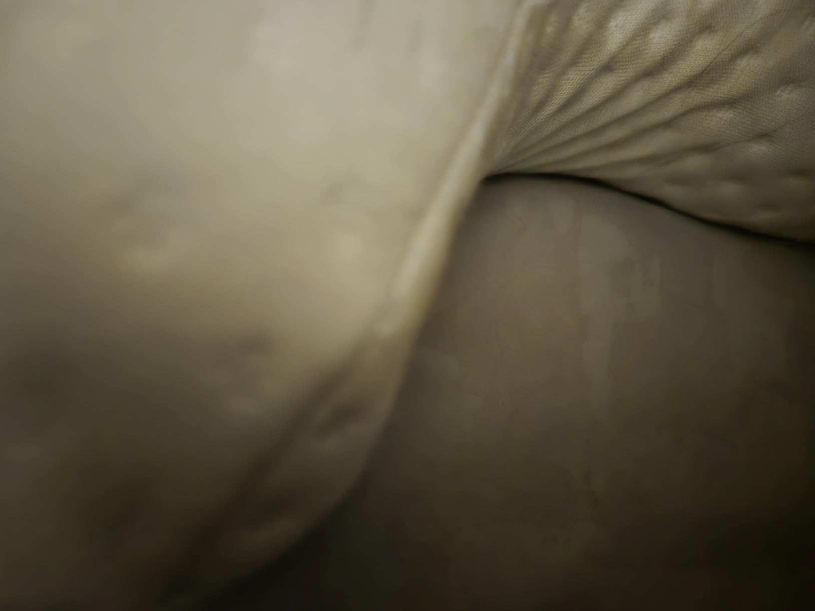 Satin Dual Side Beauty Pillow. Anti Wrinkle and Anti Aging. Memory Foam for Neck and Shoulder Pain for Back and Side Sleepers. customer photo 1